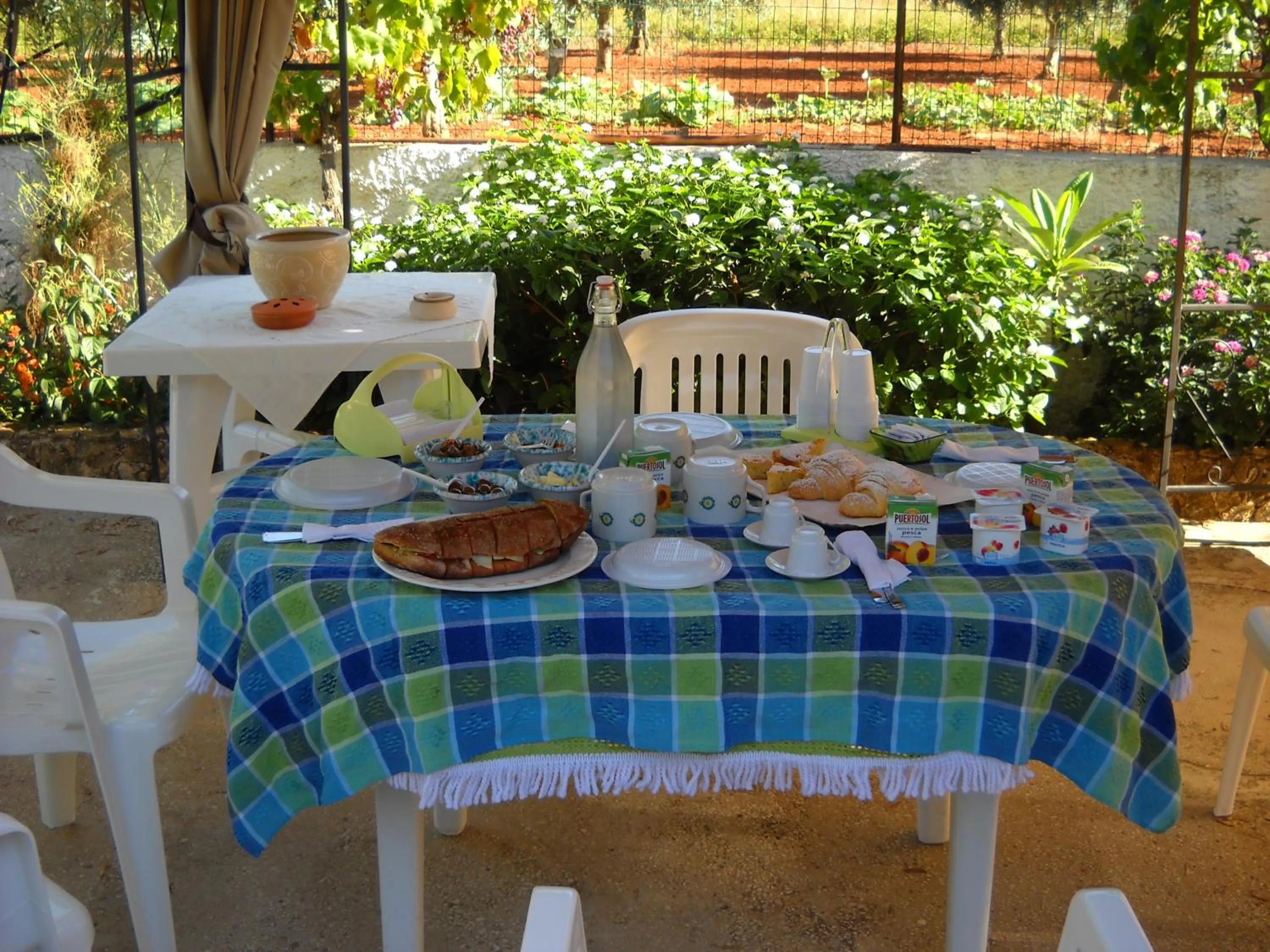 Garden in Santa Teresa