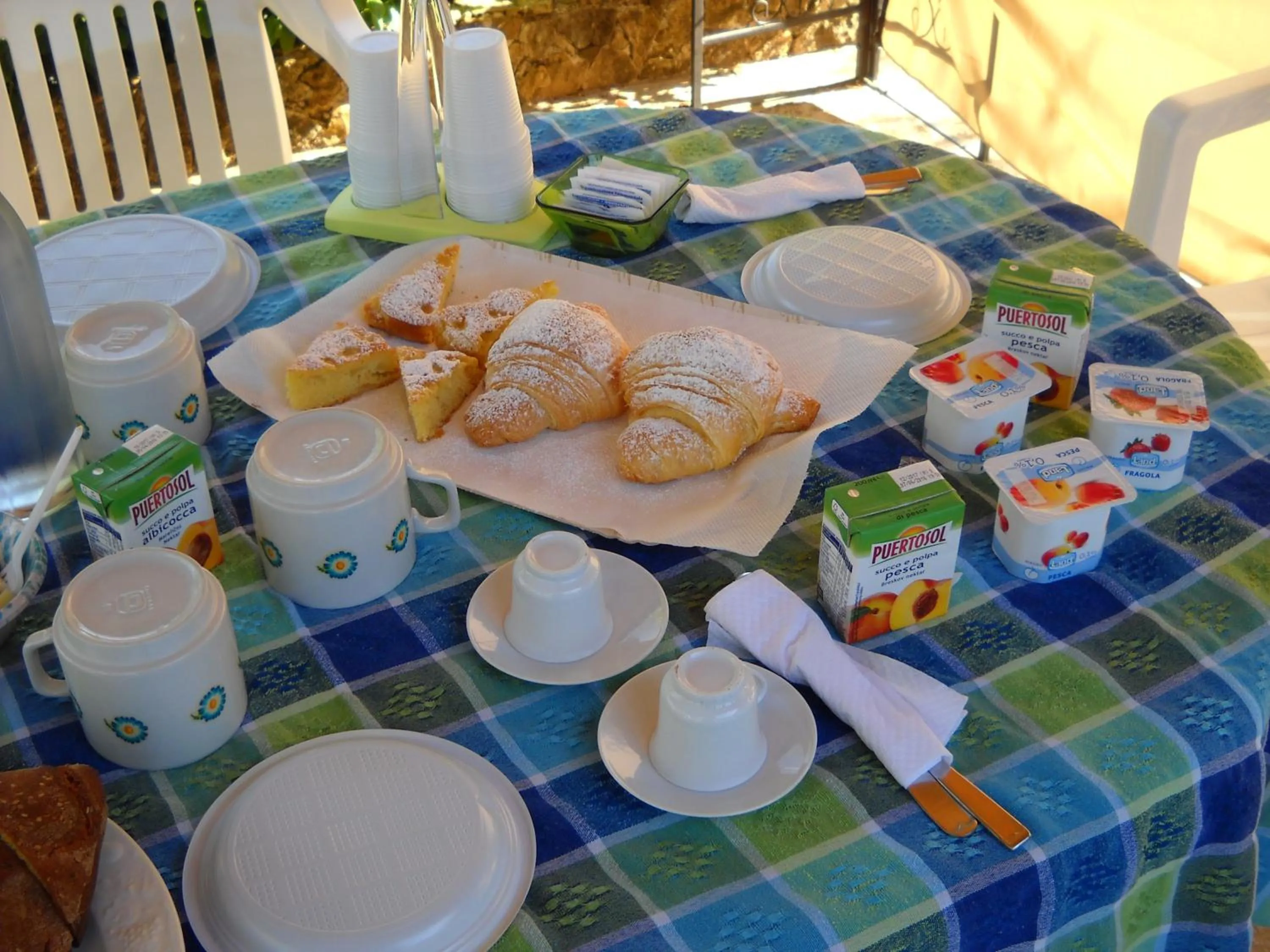 Garden in Santa Teresa