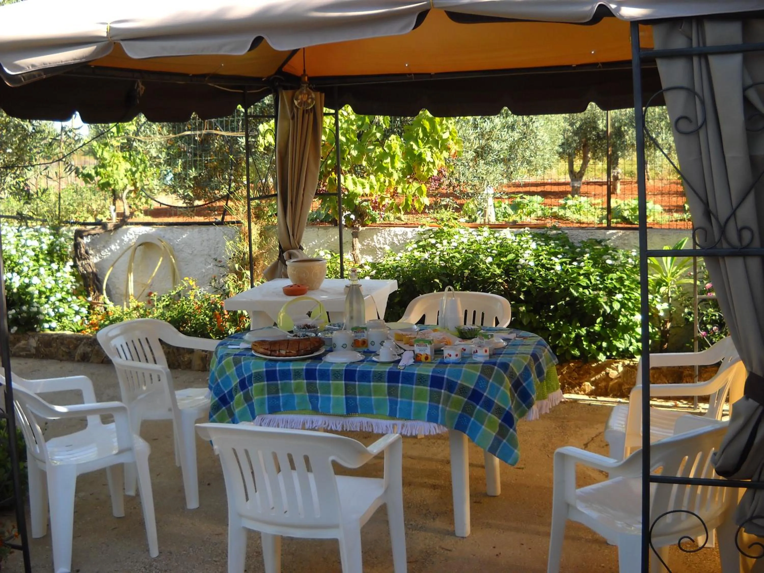 Garden in Santa Teresa