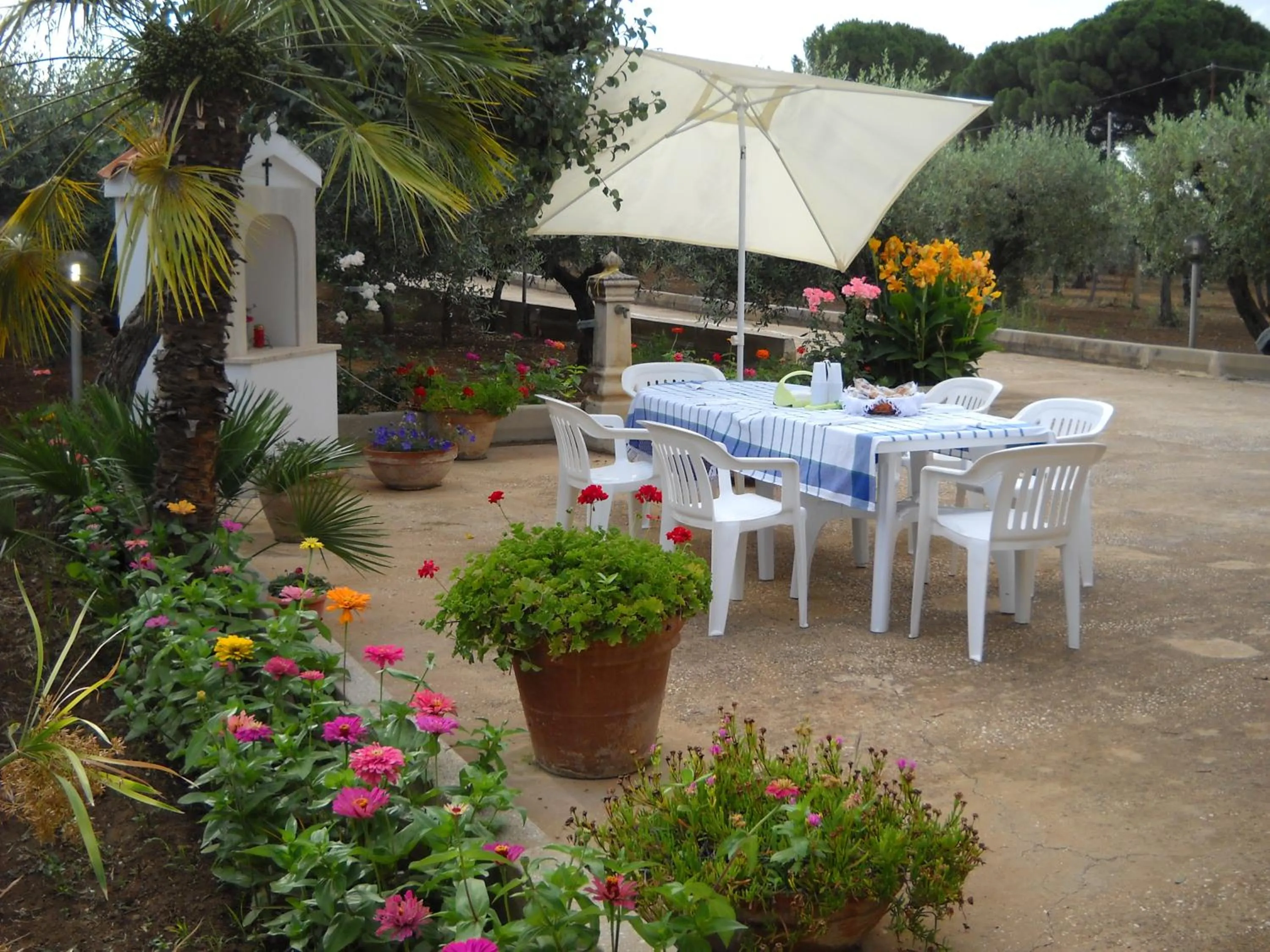 Garden in Santa Teresa
