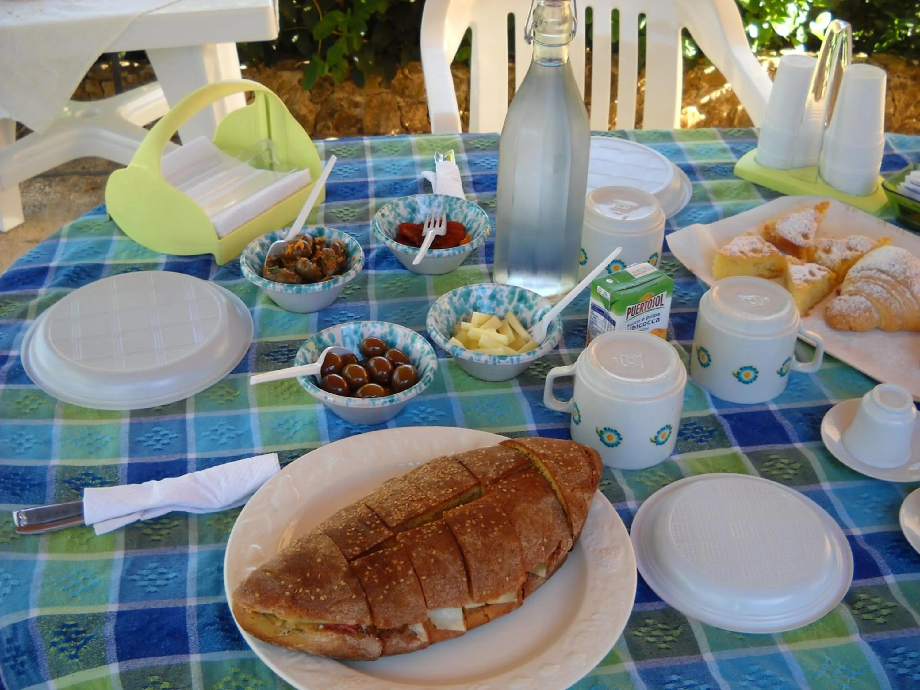 Garden in Santa Teresa