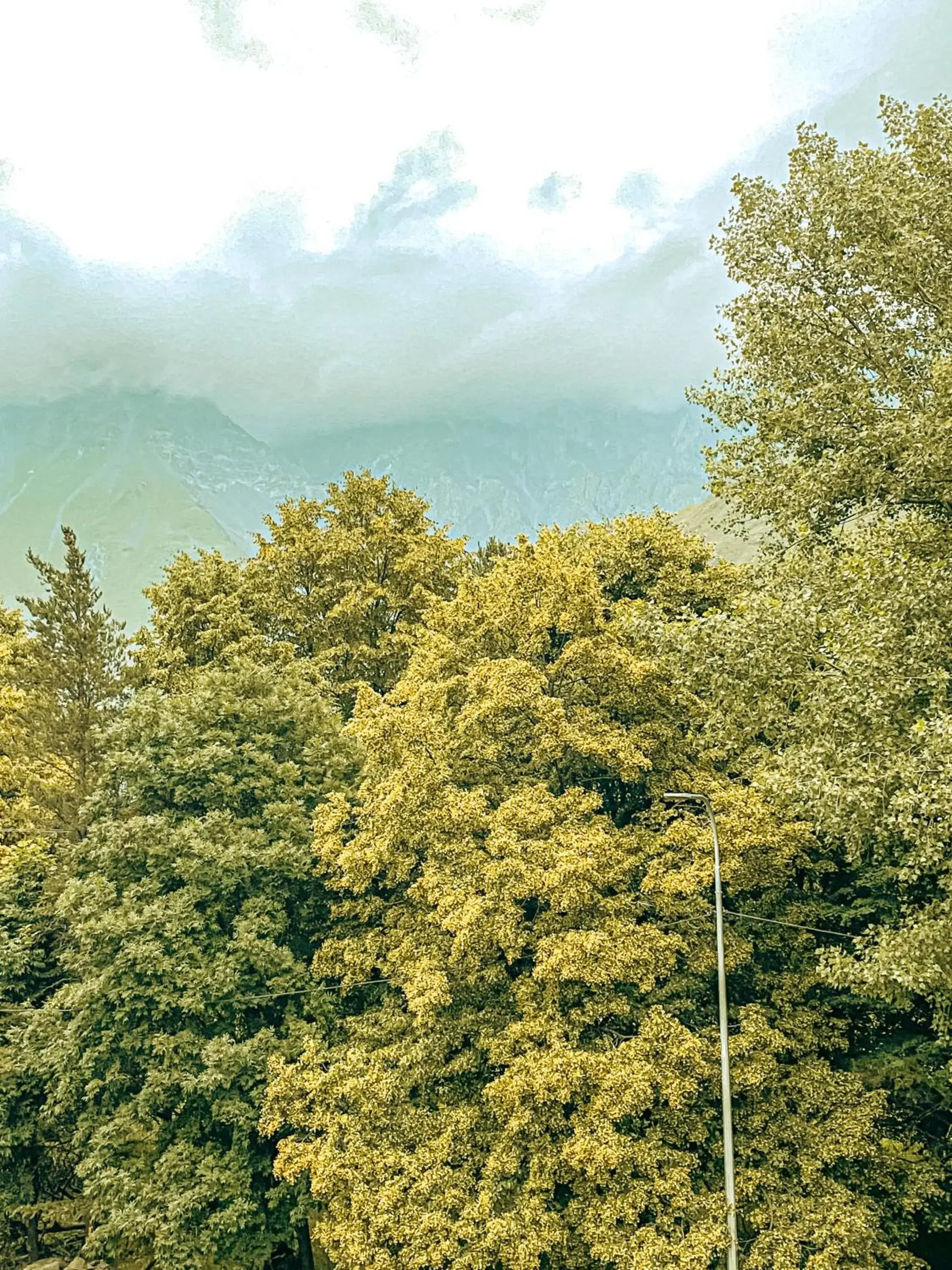 Standard Double Room - single occupancy in Hotel Gold Kazbegi Standard Double Room - single occupancy in Hotel Gold Kazbegi