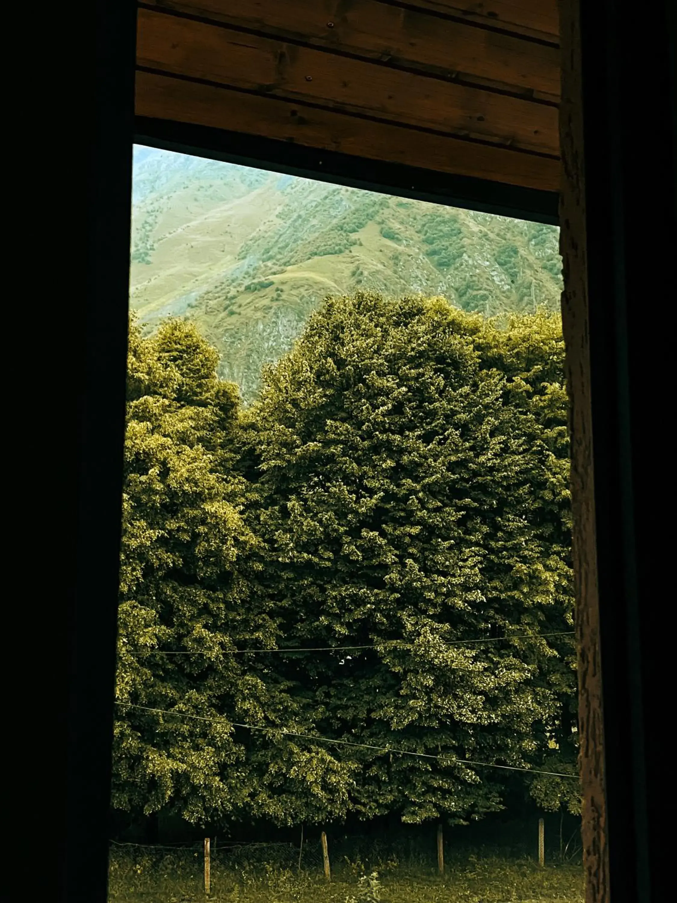 Standard Twin Room - single occupancy in Hotel Gold Kazbegi Standard Twin Room - single occupancy in Hotel Gold Kazbegi