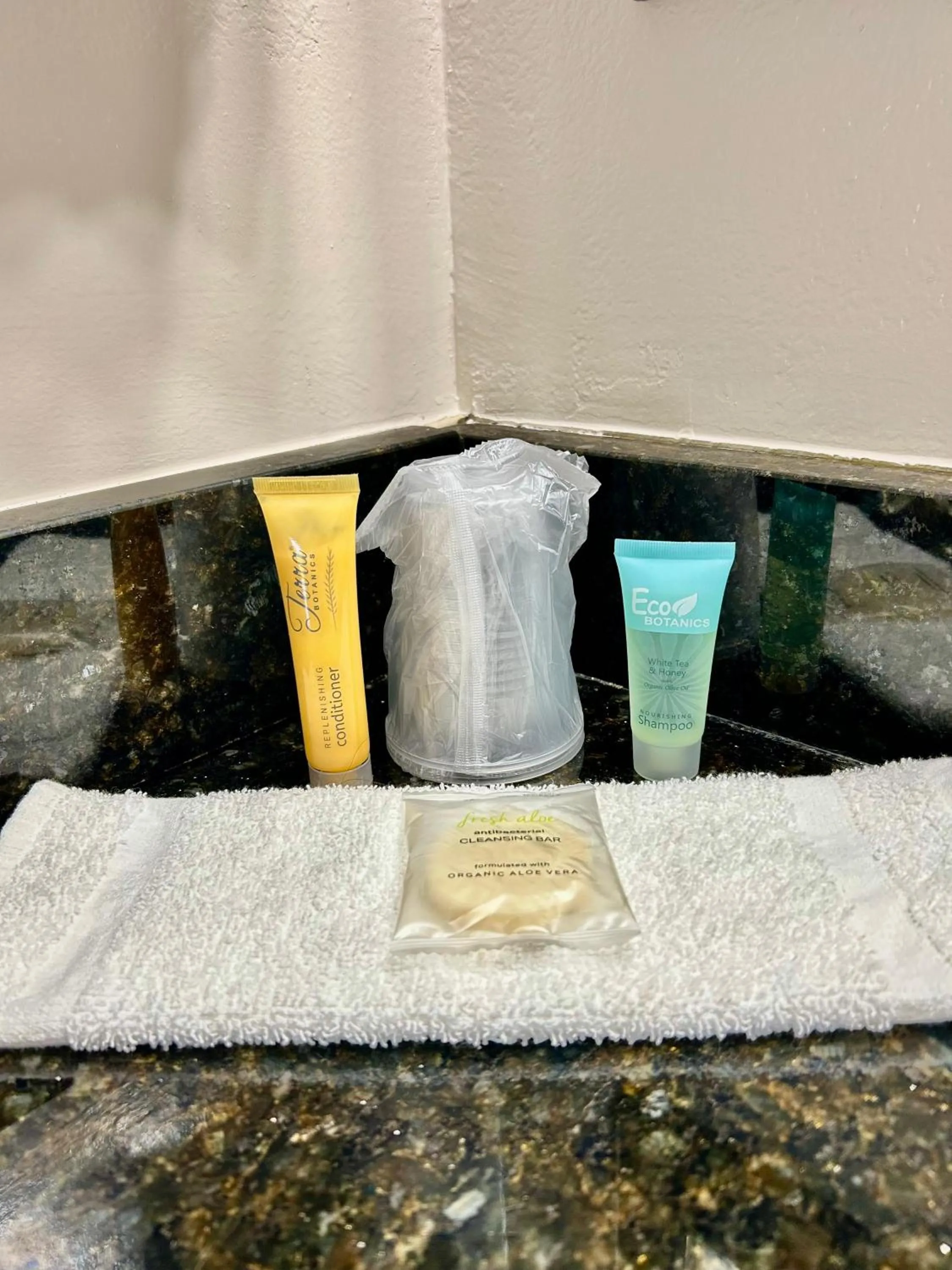 Shining Light Inn & Suites