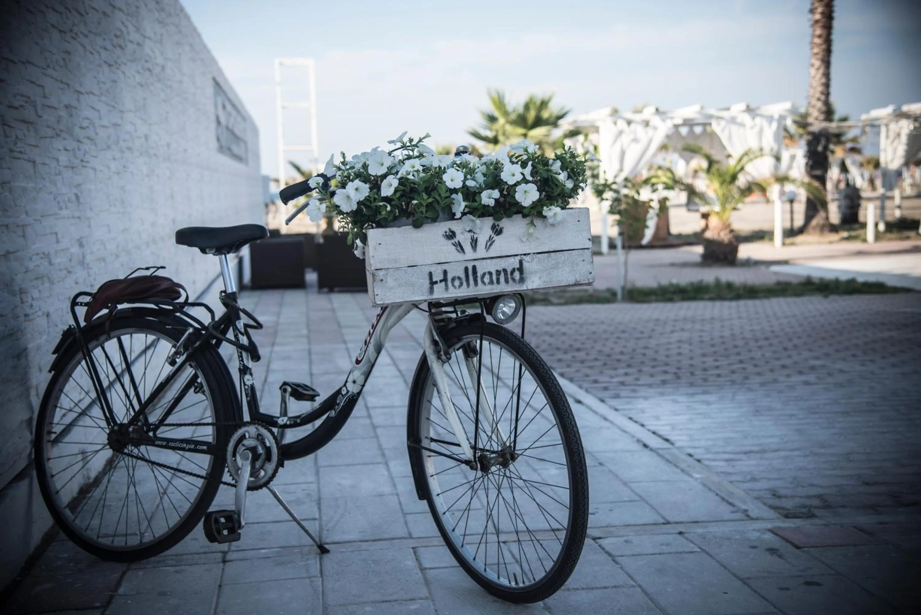 Decorative detail in torquemada beach club