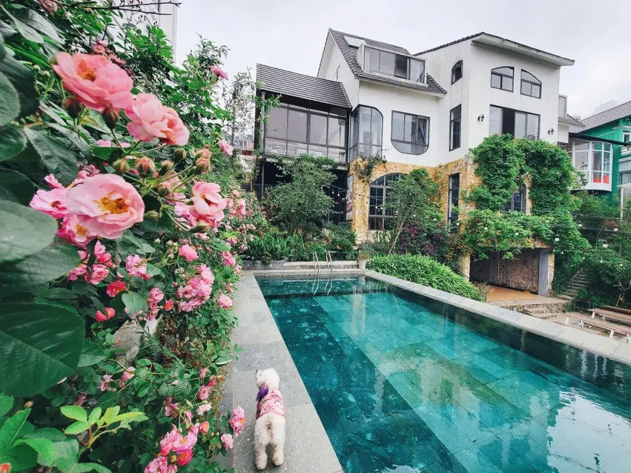 Le vent Tam Đảo homestay Le vent Tam Đảo homestay