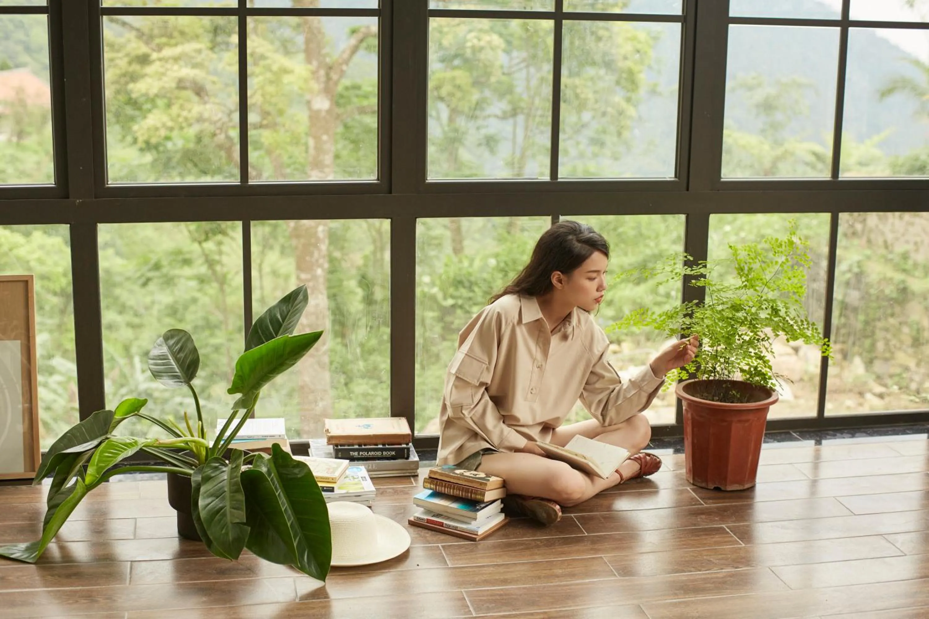 Le vent Tam Đảo homestay