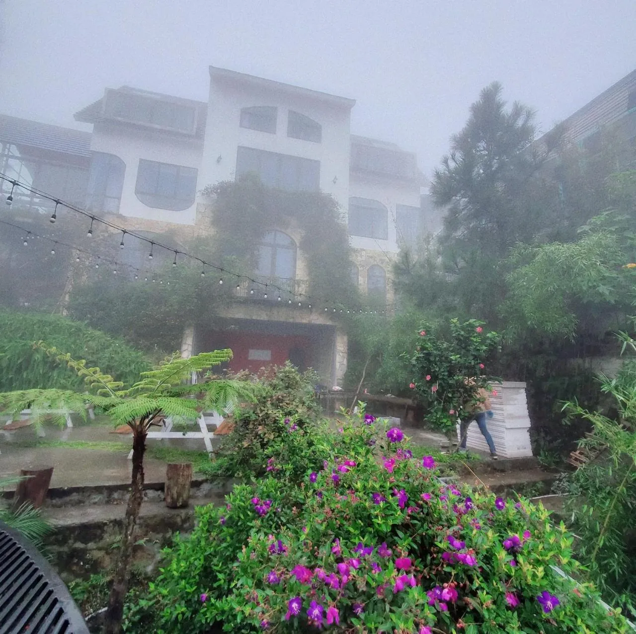 Le vent Tam Đảo homestay