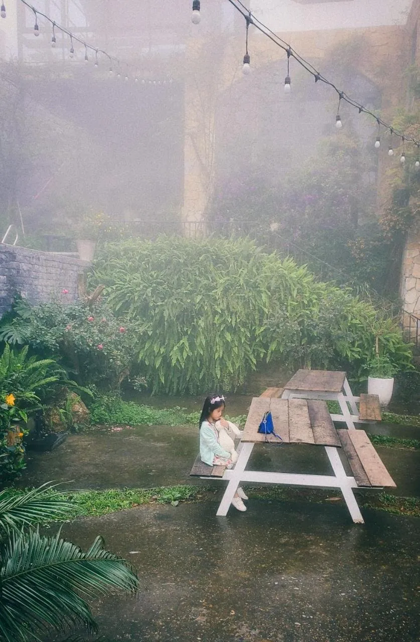 Le vent Tam Đảo homestay