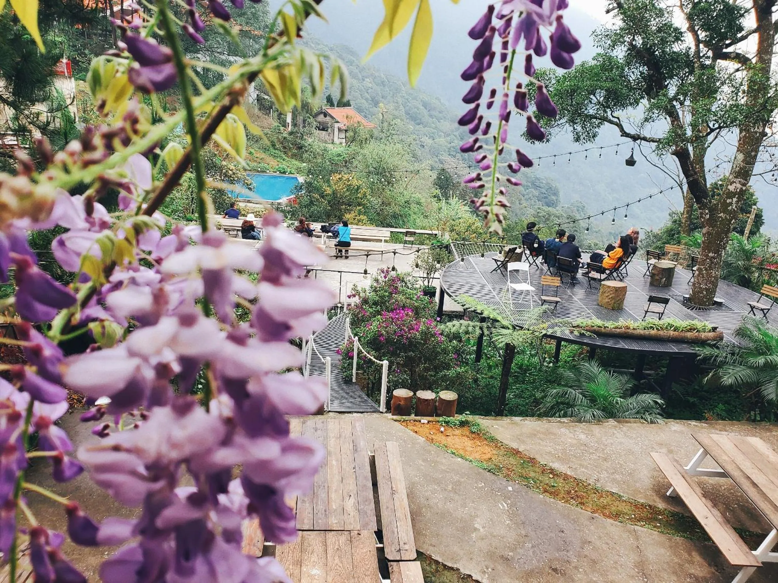 Le vent Tam Đảo homestay