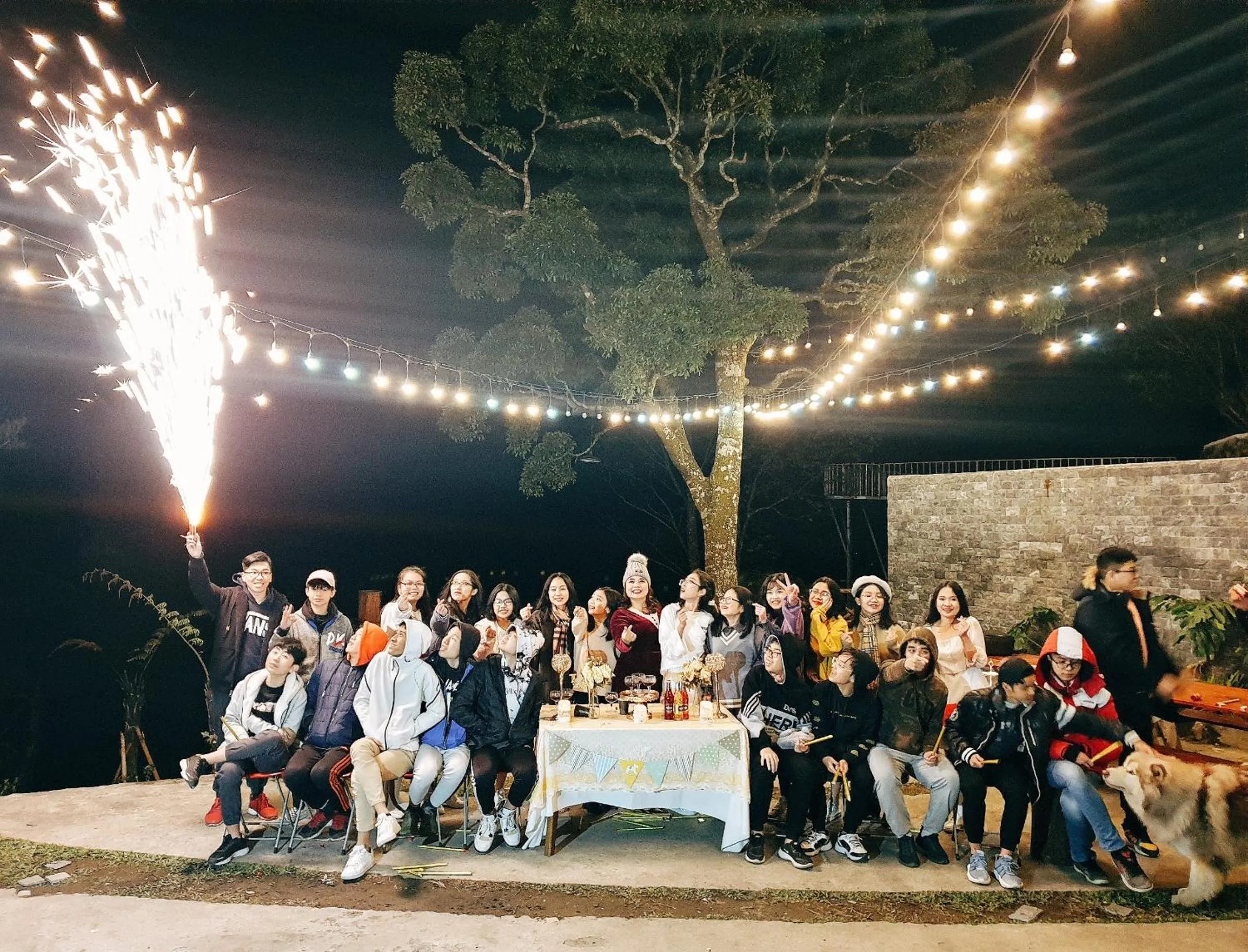 Le vent Tam Đảo homestay