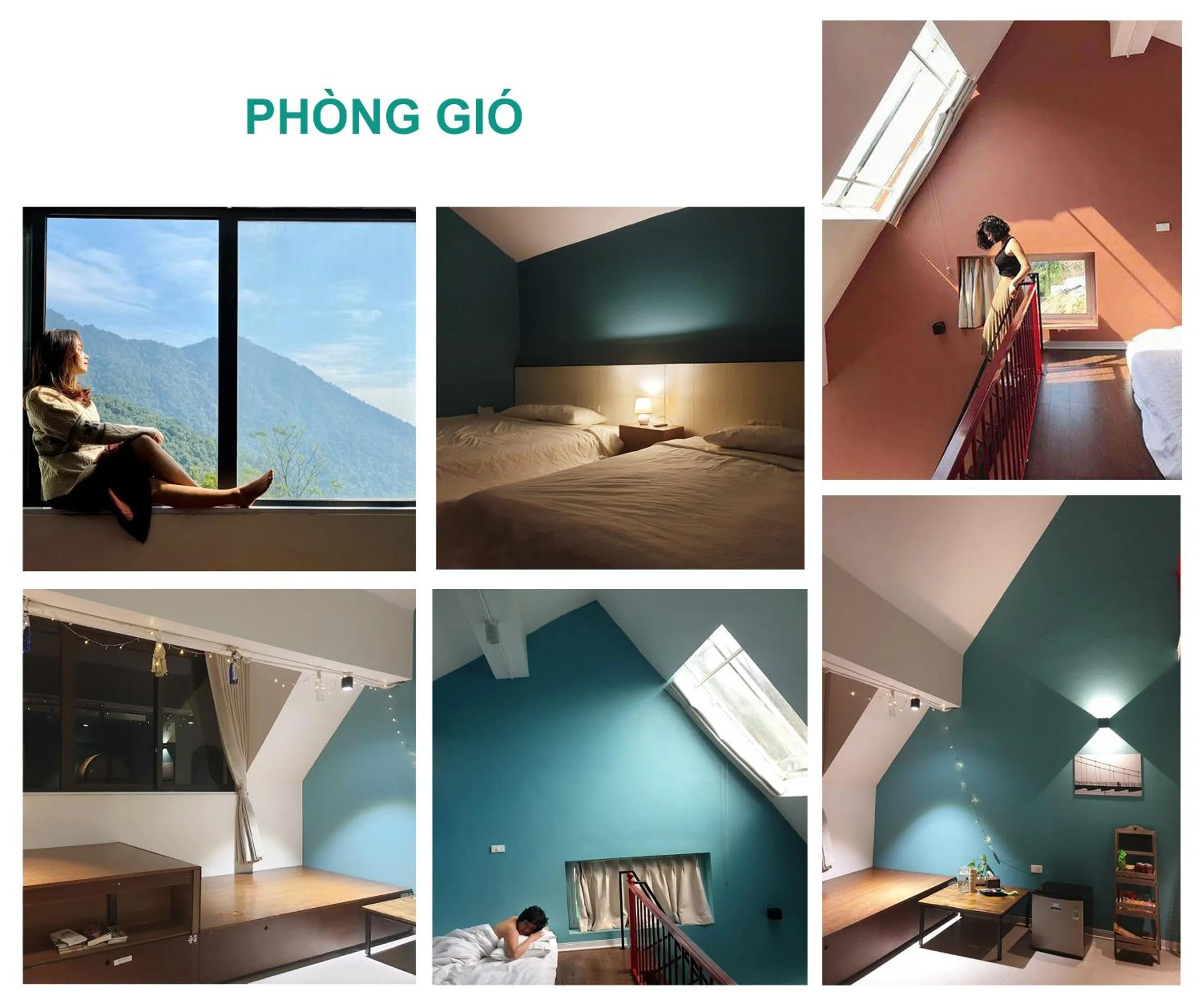 Le vent Tam Đảo homestay