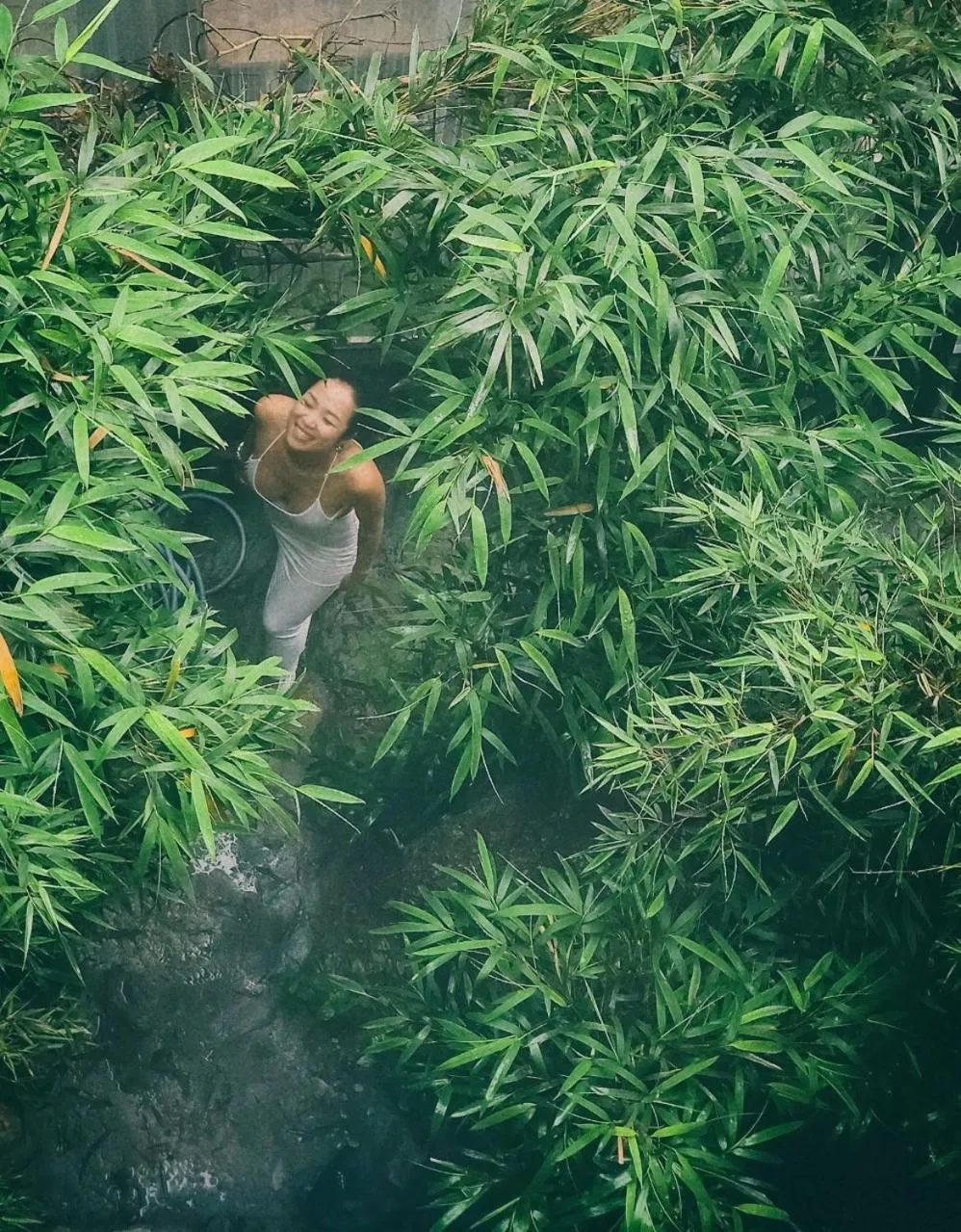 Le vent Tam Đảo homestay