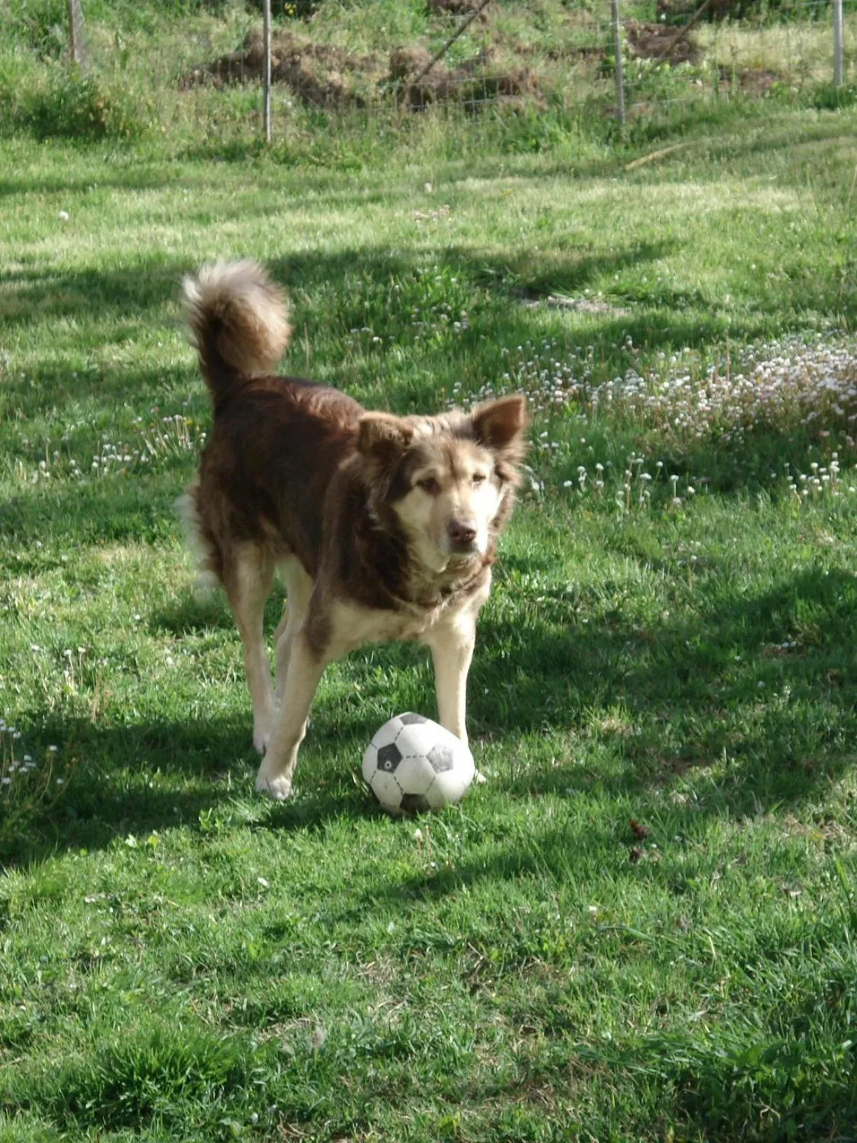 Garden in Abruzzo Segreto