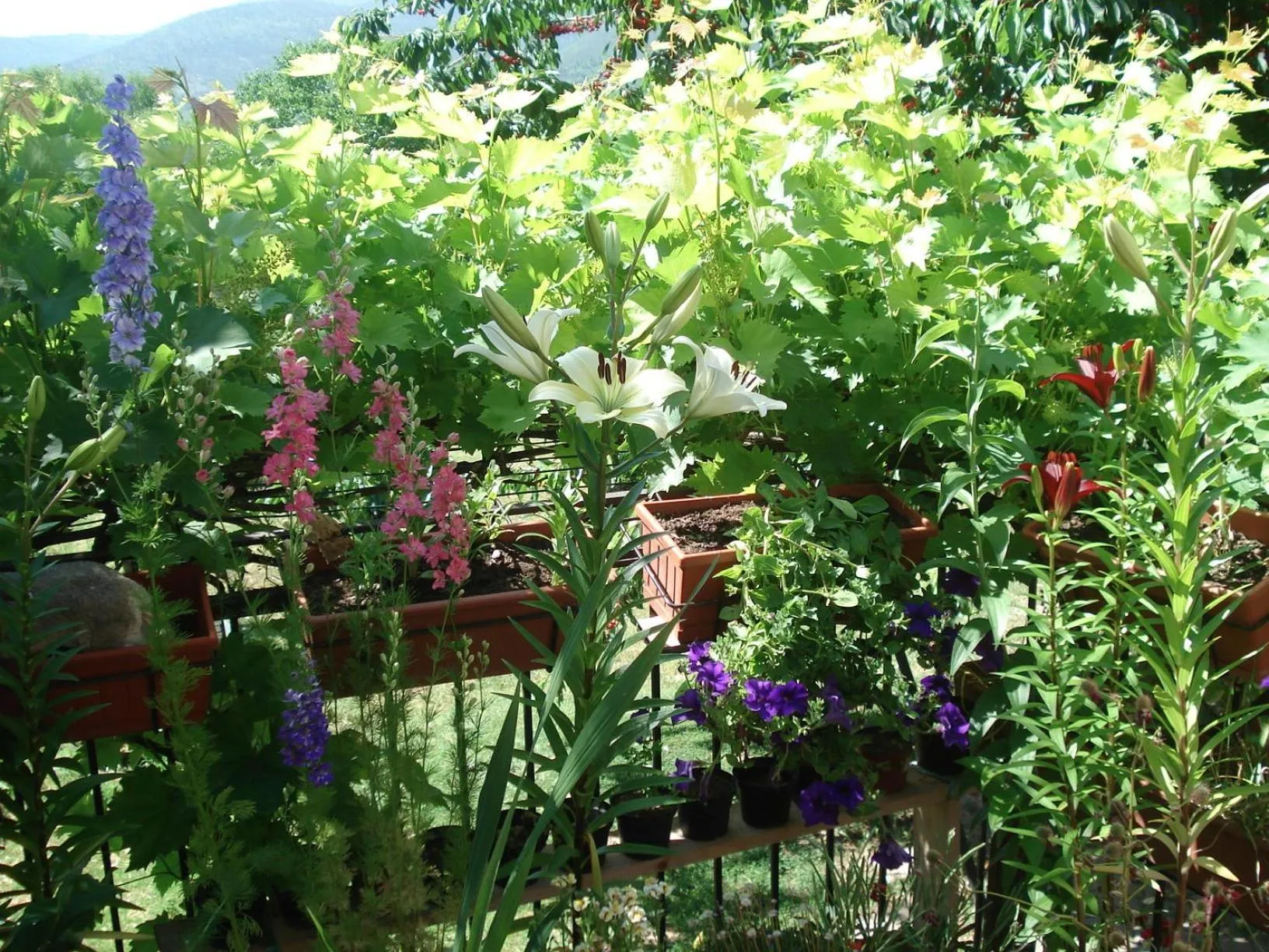 Facade/entrance in Abruzzo Segreto