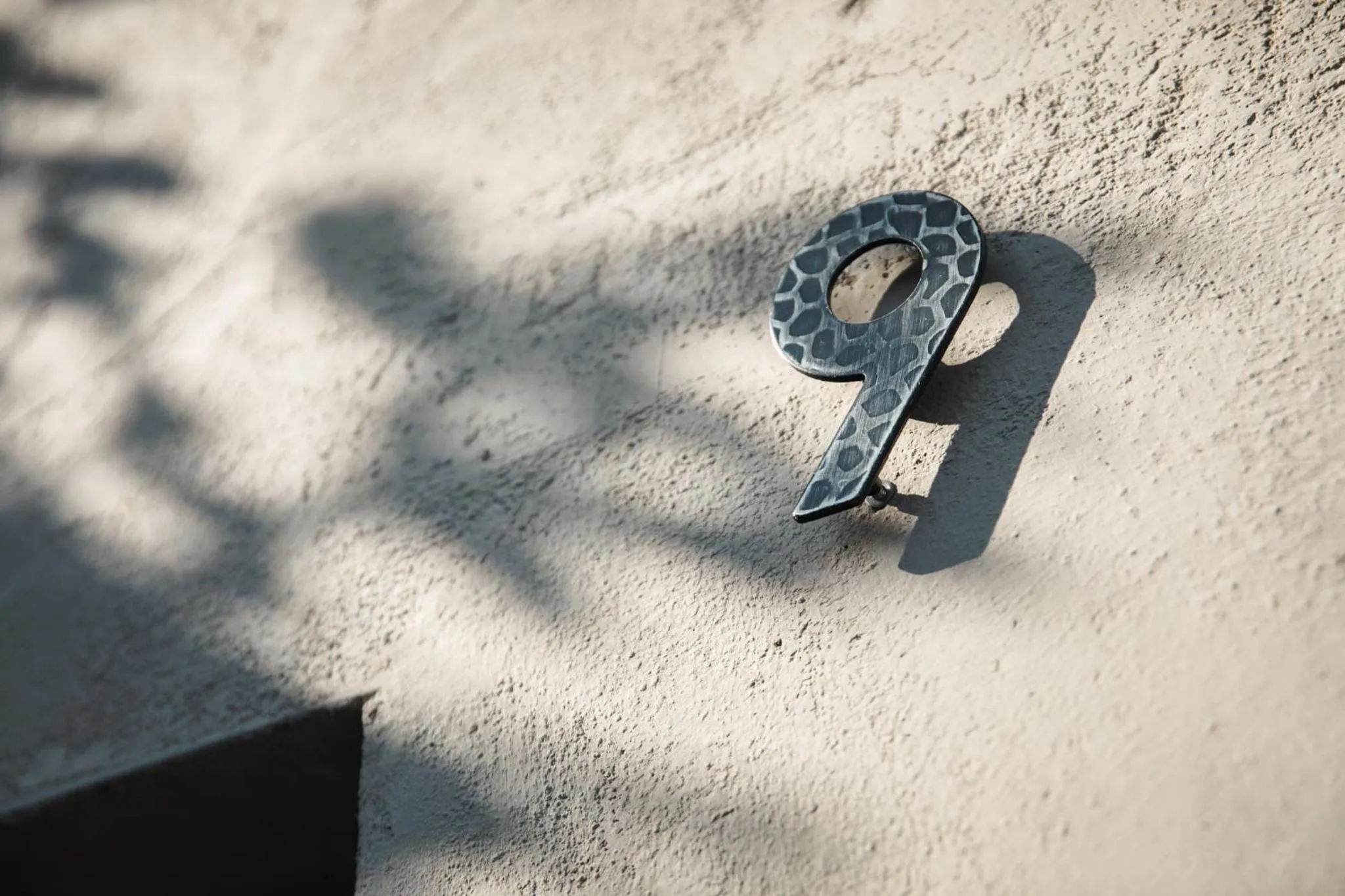 B&B AL VECCHIO CARPINO