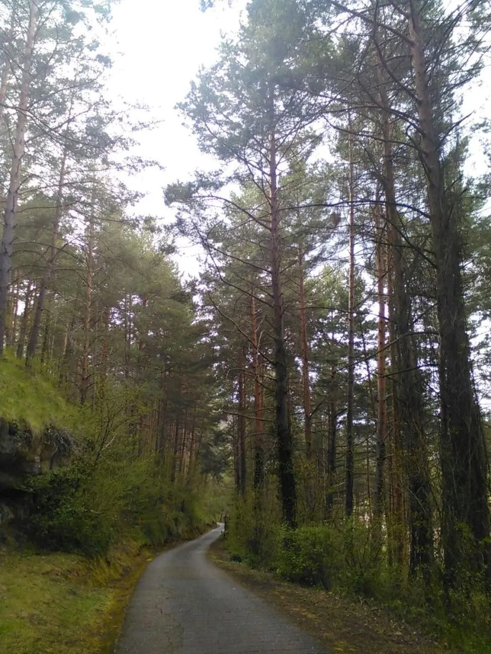 Natural landscape in Hotel Rural Aguazul