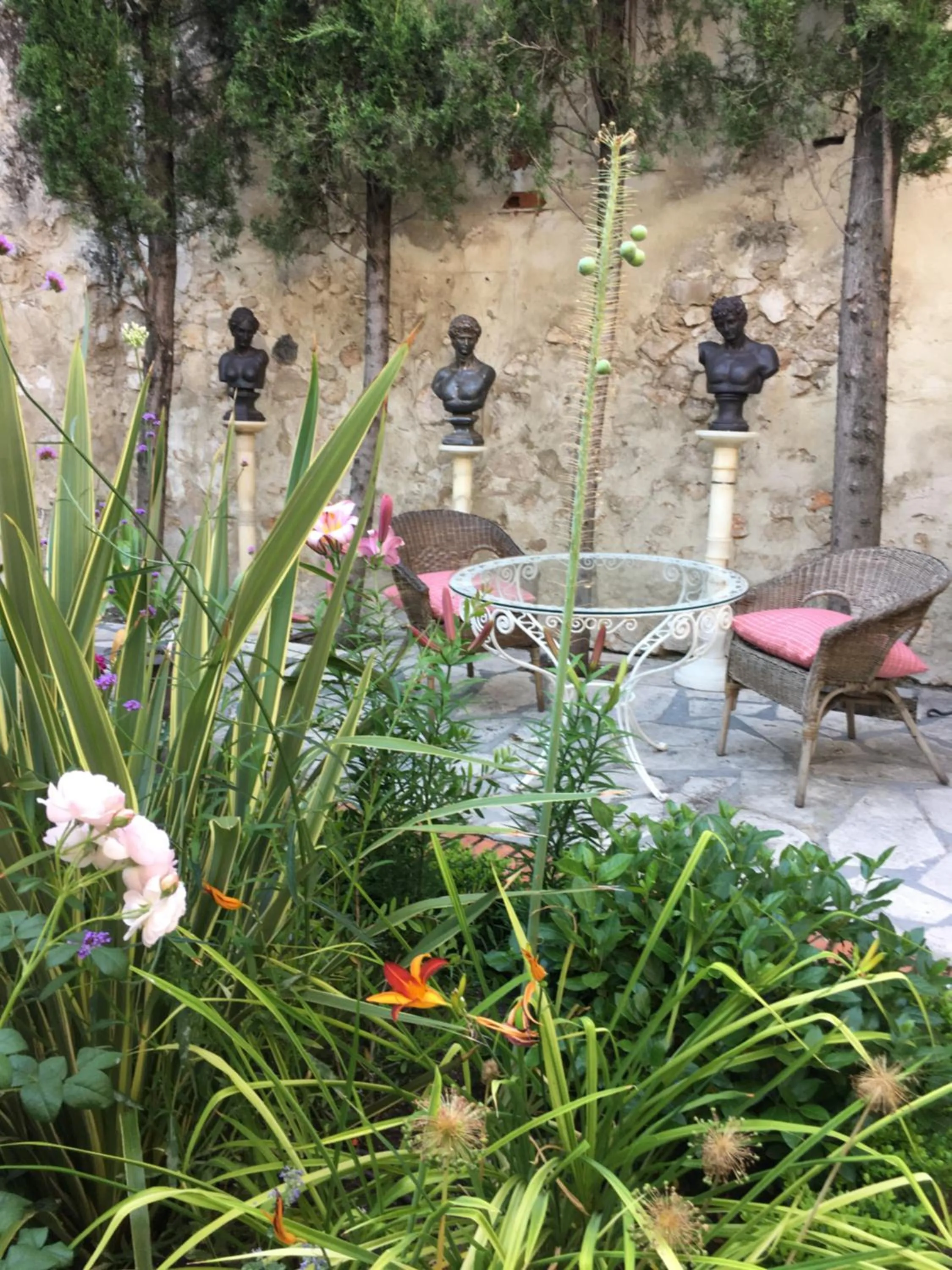 Garden in Casa San Roque