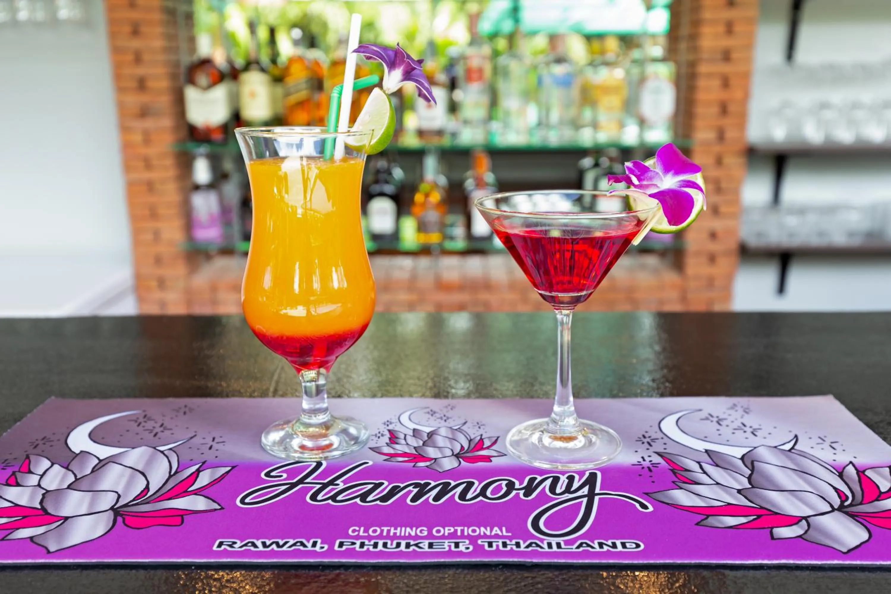 Lounge or bar in Harmony Naturist Resort Rawai Phuket 18yr minimum age only nudist nake d FKK