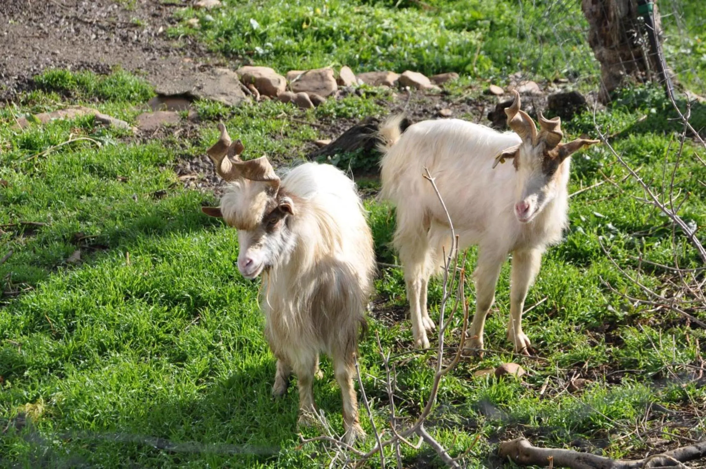Day in Azienda Agrituristica Bergi