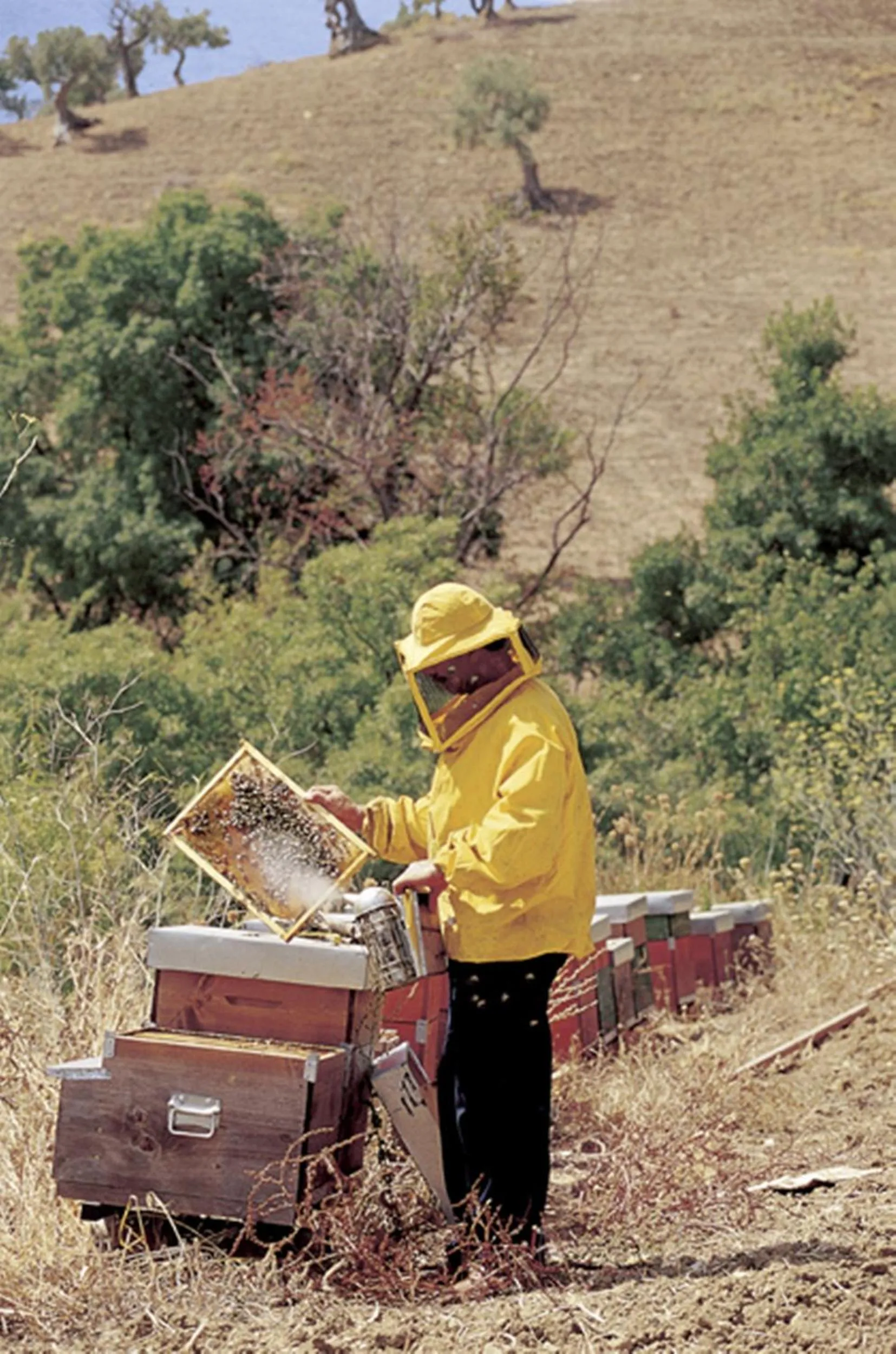 Other in Azienda Agrituristica Bergi