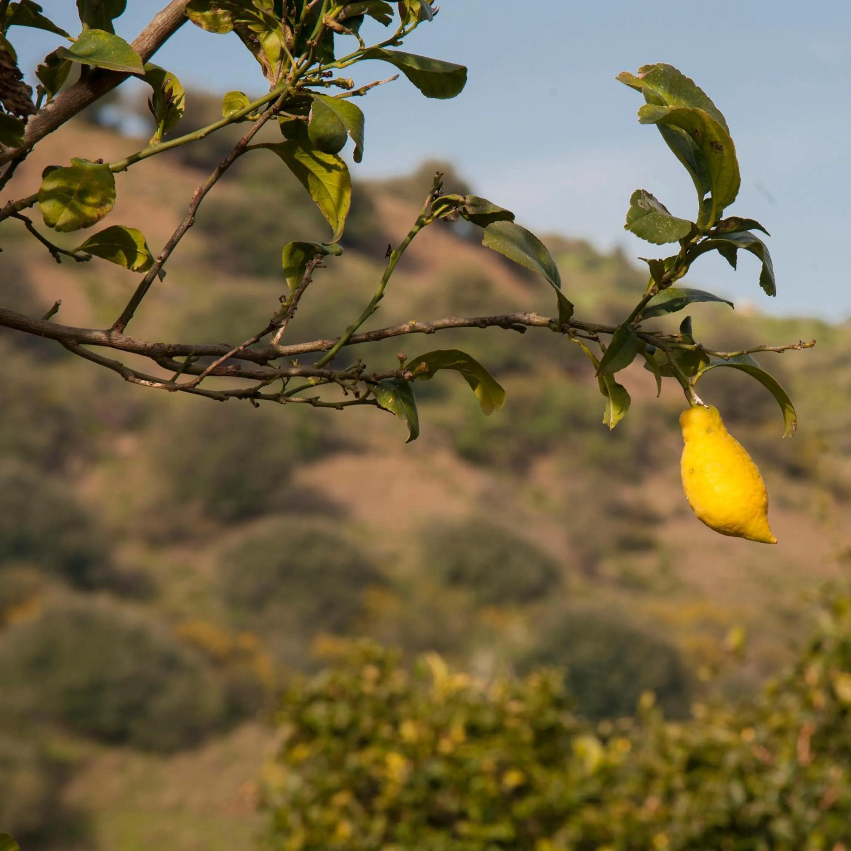 Day in Azienda Agrituristica Bergi