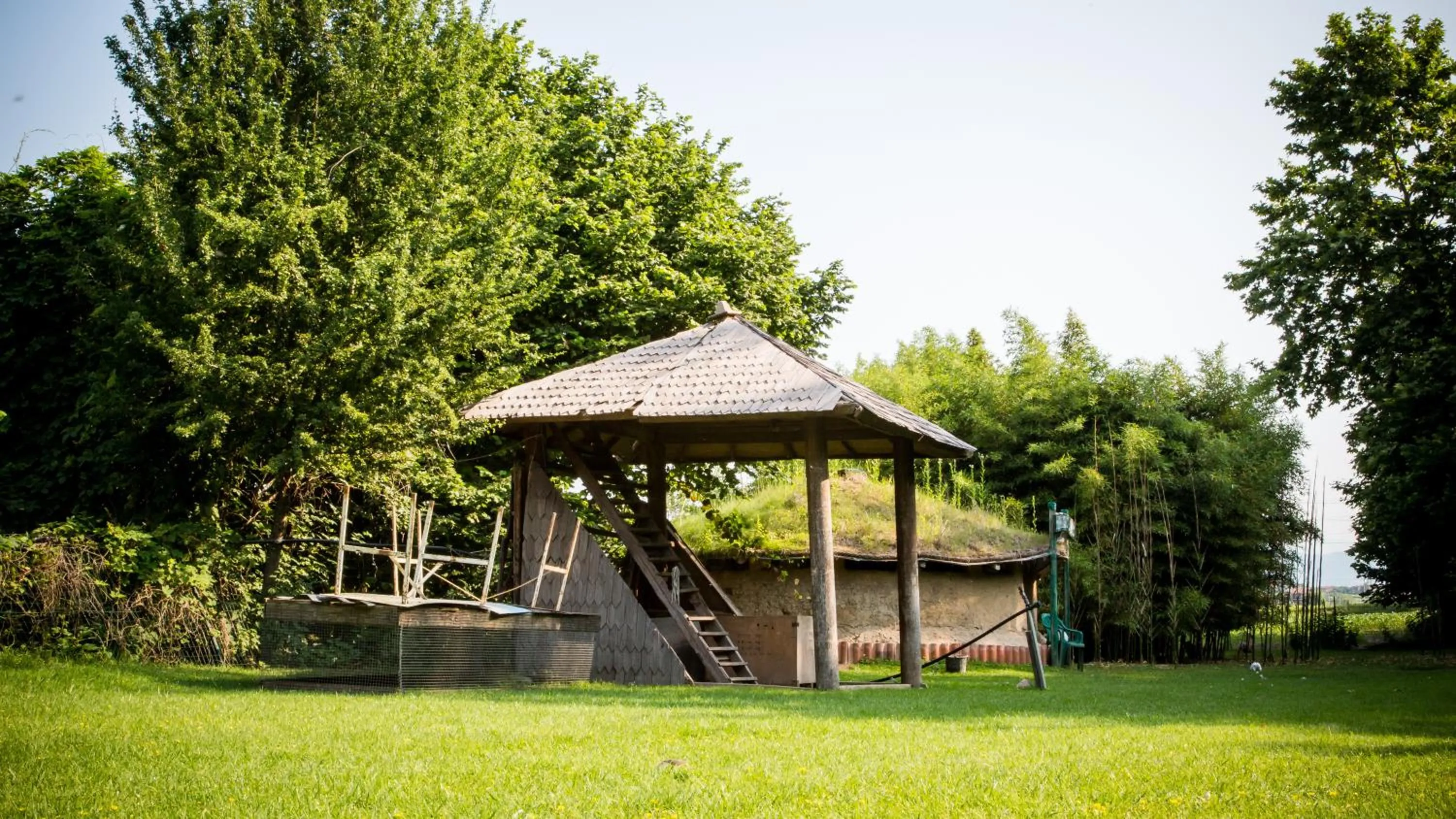 Animals in Agriturismo Bosco Del Gal