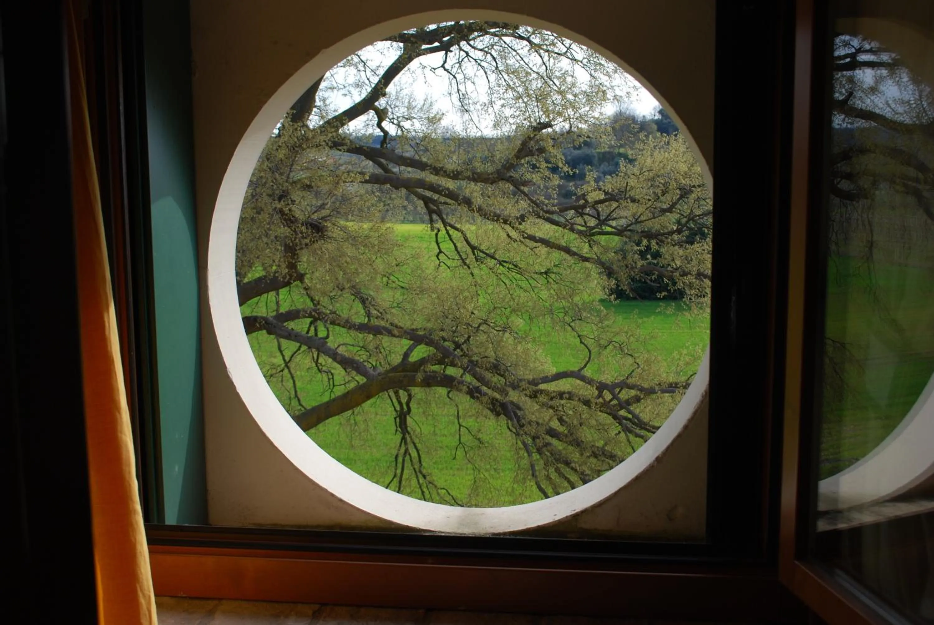 View (from property/room) in Agriturismo Bosco Del Gal