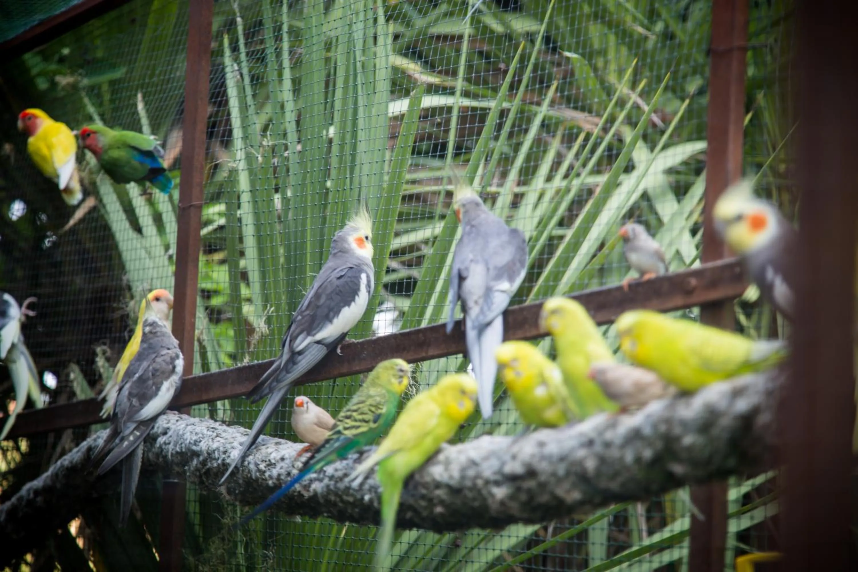 Animals in Agriturismo Bosco Del Gal