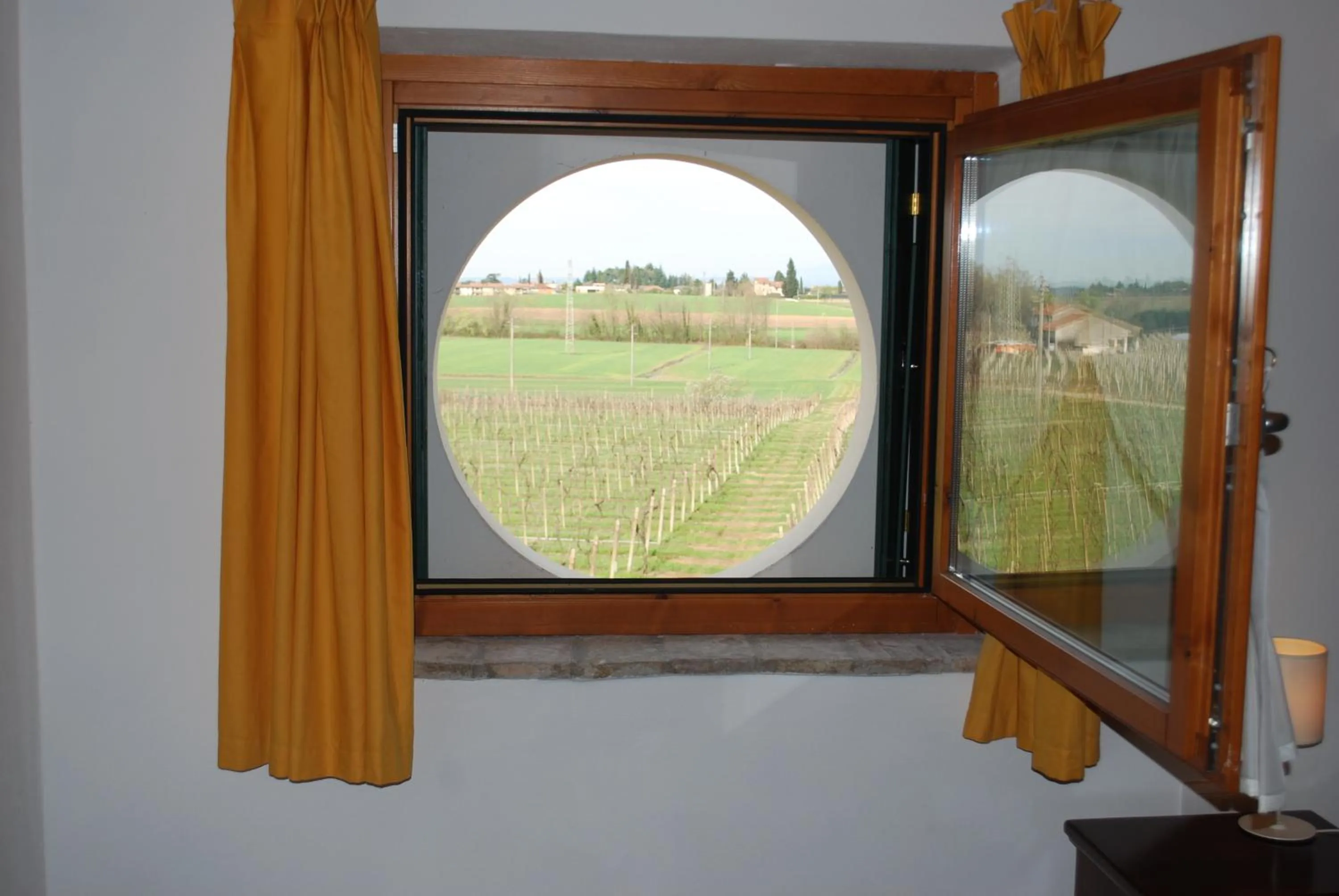 View (from property/room) in Agriturismo Bosco Del Gal