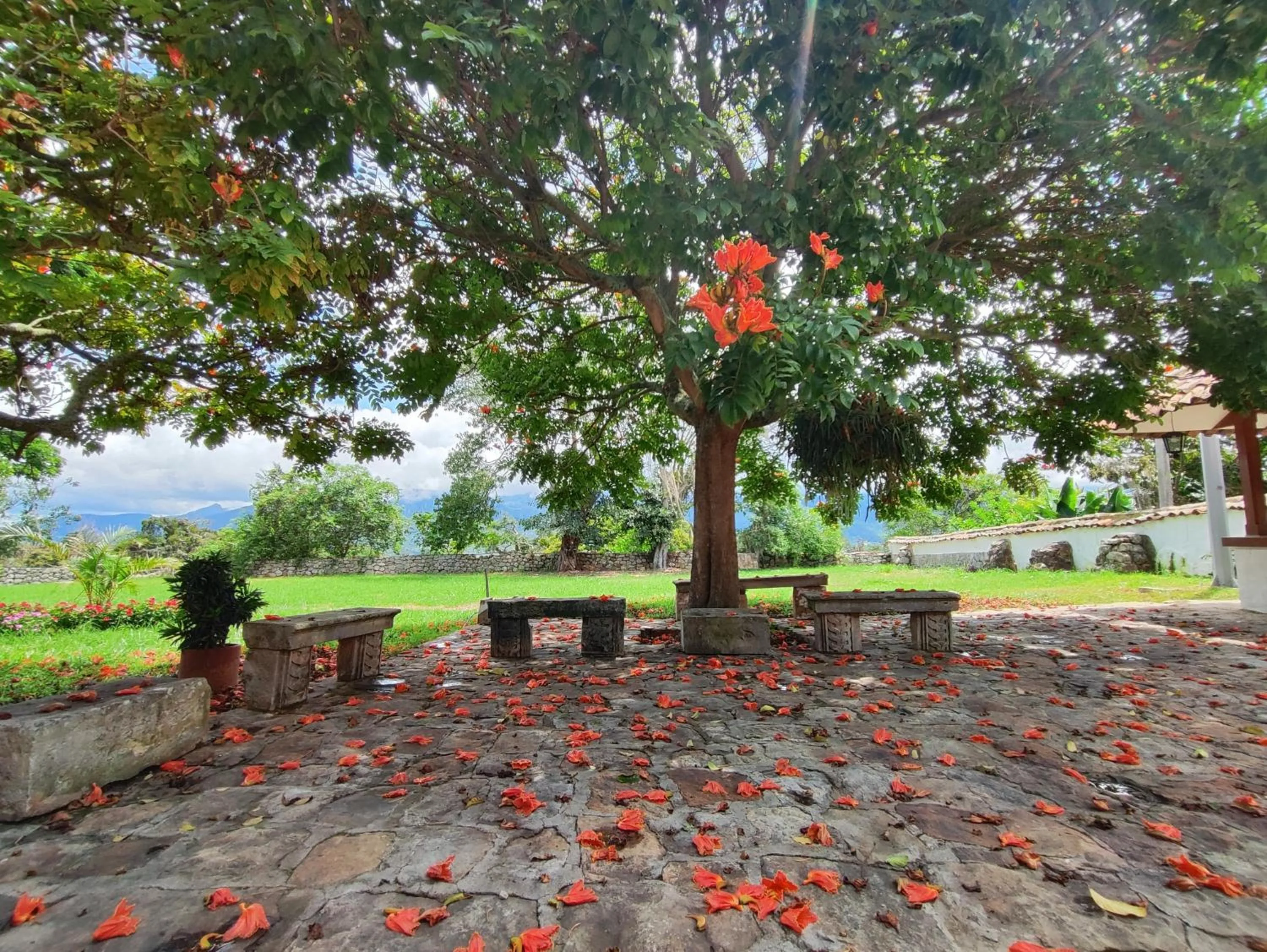 Natural landscape in Hotel Hacienda El Novillero