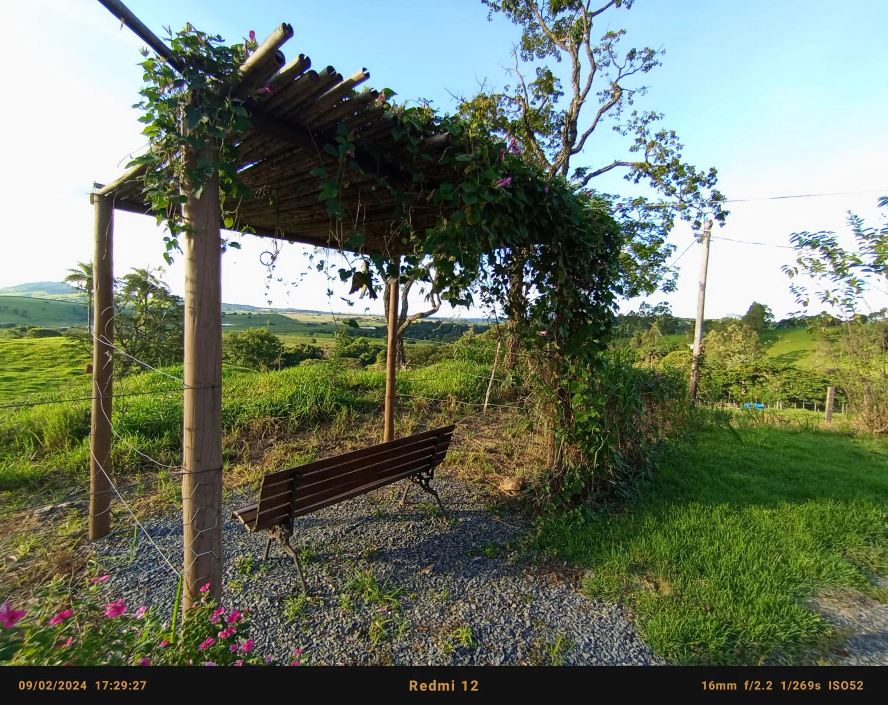 Pousada flores de ipê