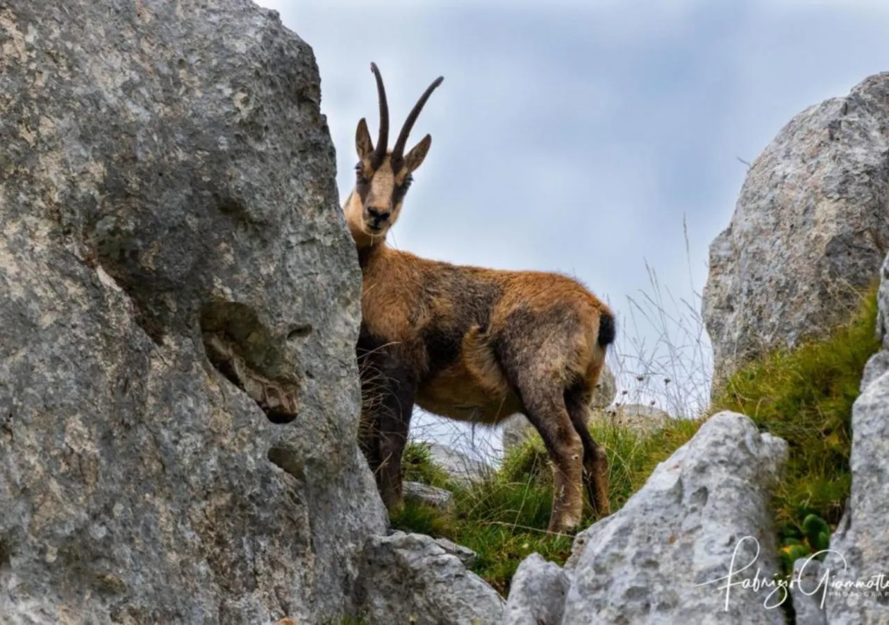 Natural landscape in Alba Sporting Hotel