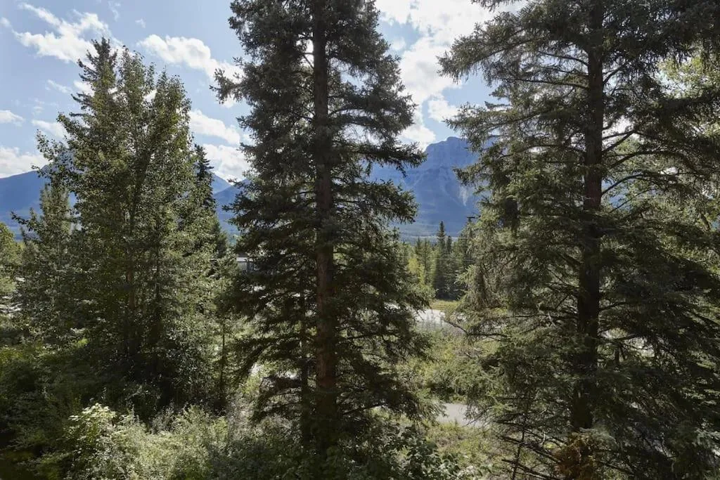 Star Suite -Luxurious condo with 3 fireplaces, and open Pool!