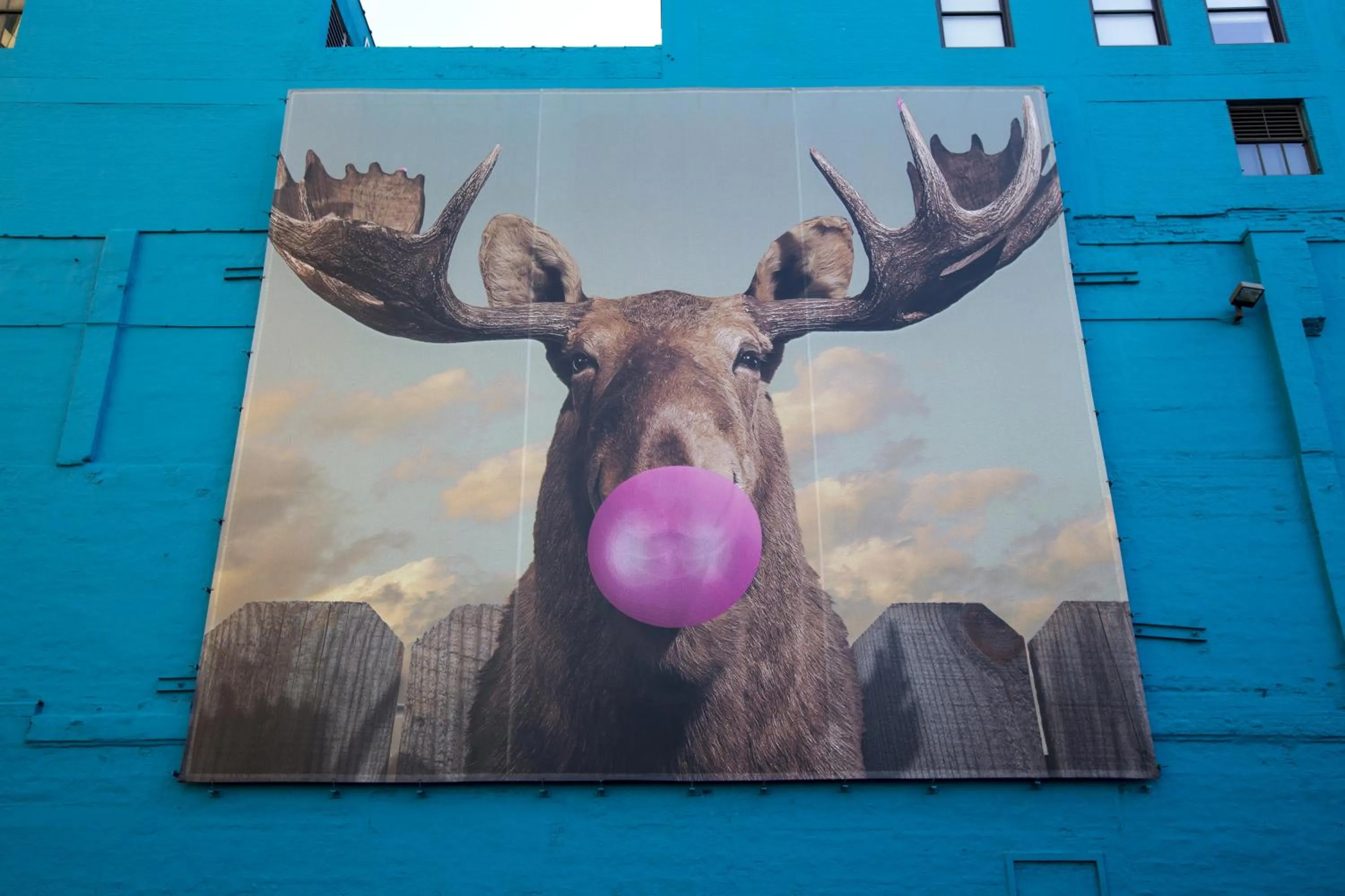 Neighbourhood in HI Chicago Hostel