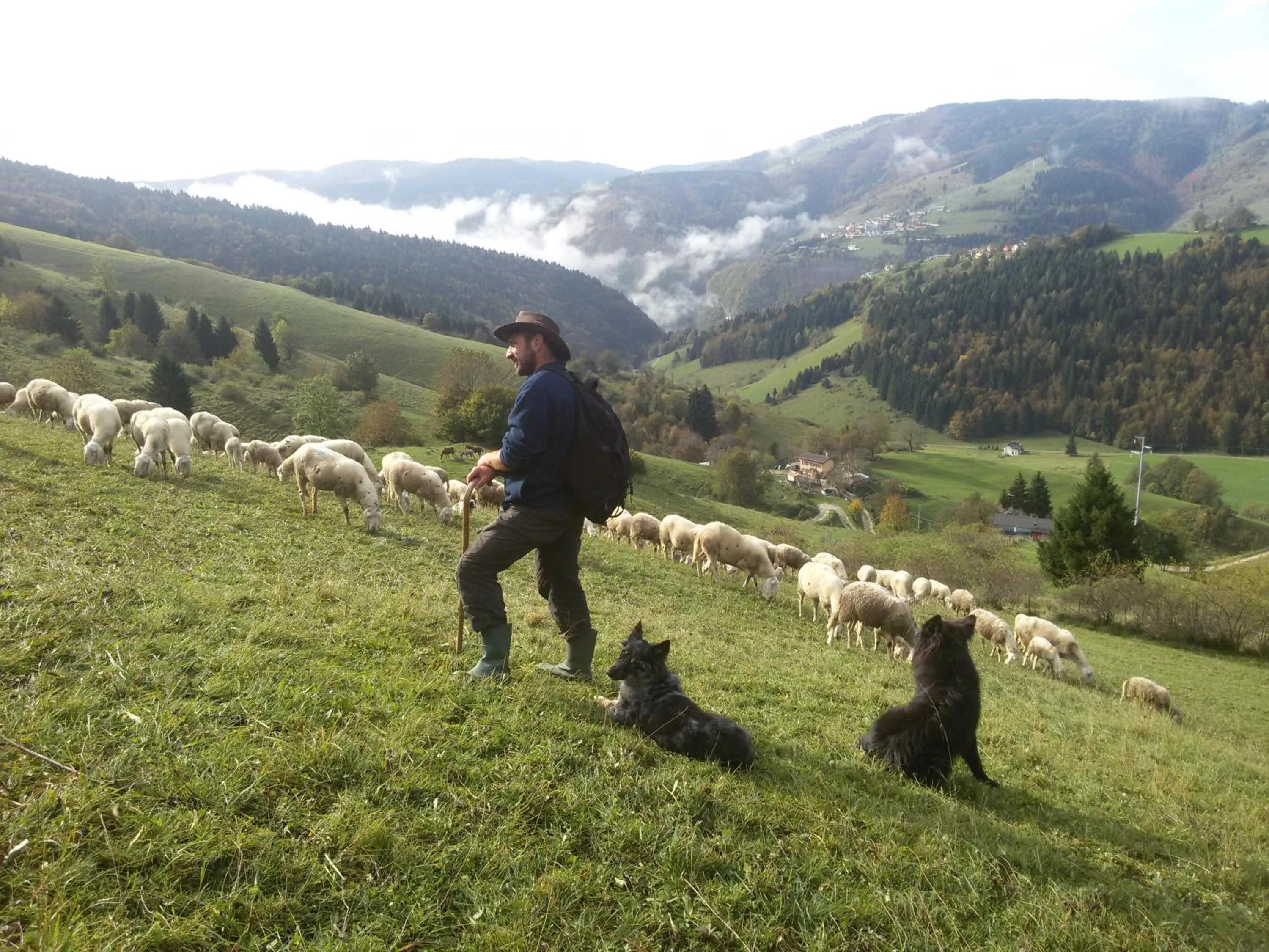 Day in Hotel Alpi - Foza