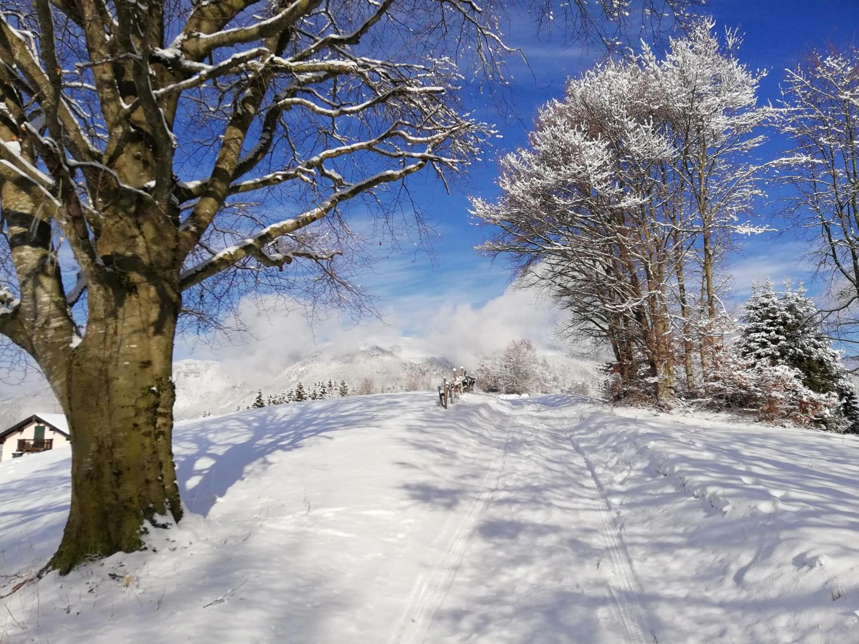 Natural landscape in Hotel Alpi - Foza