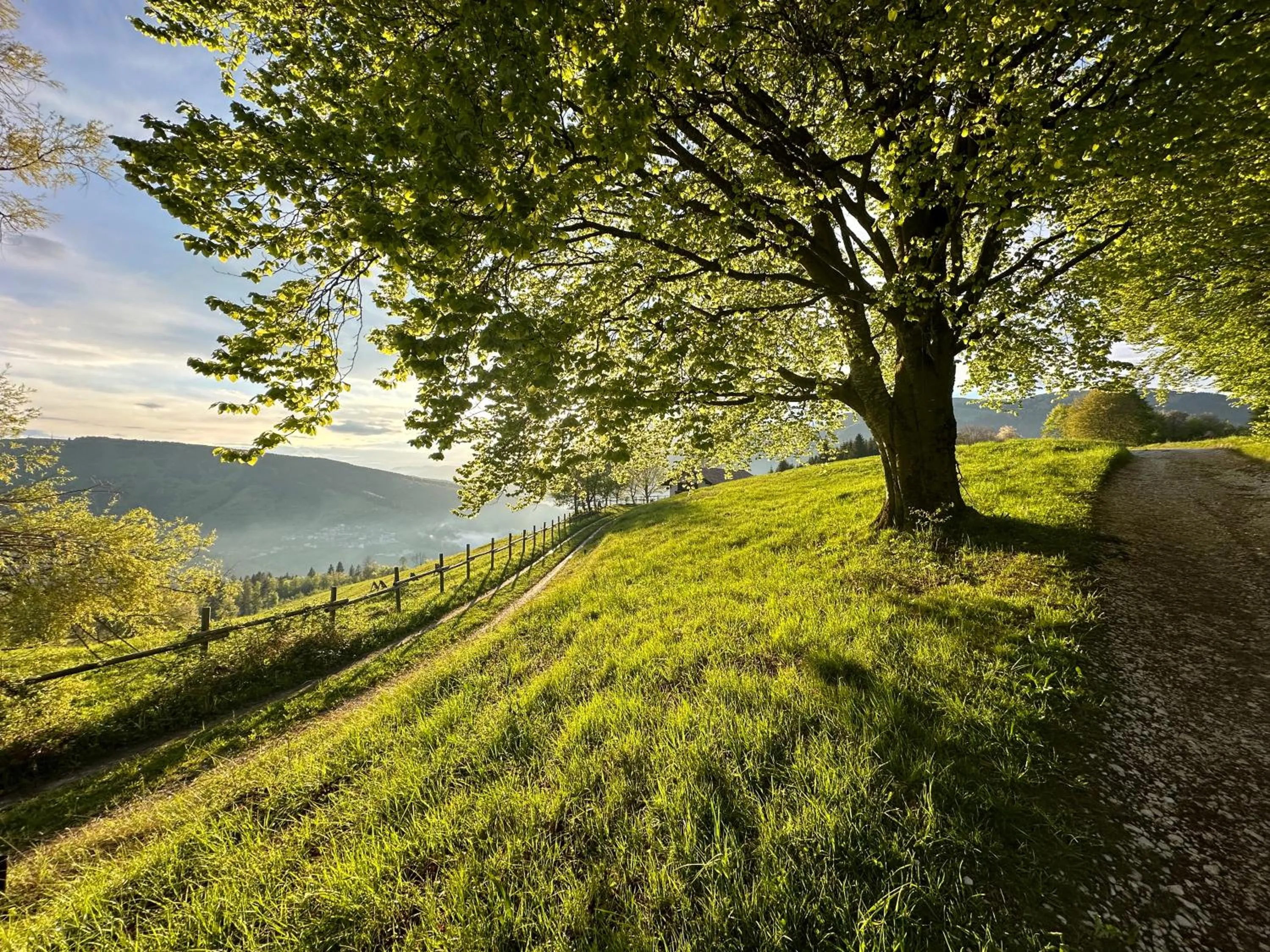 Nearby landmark in Hotel Alpi - Foza