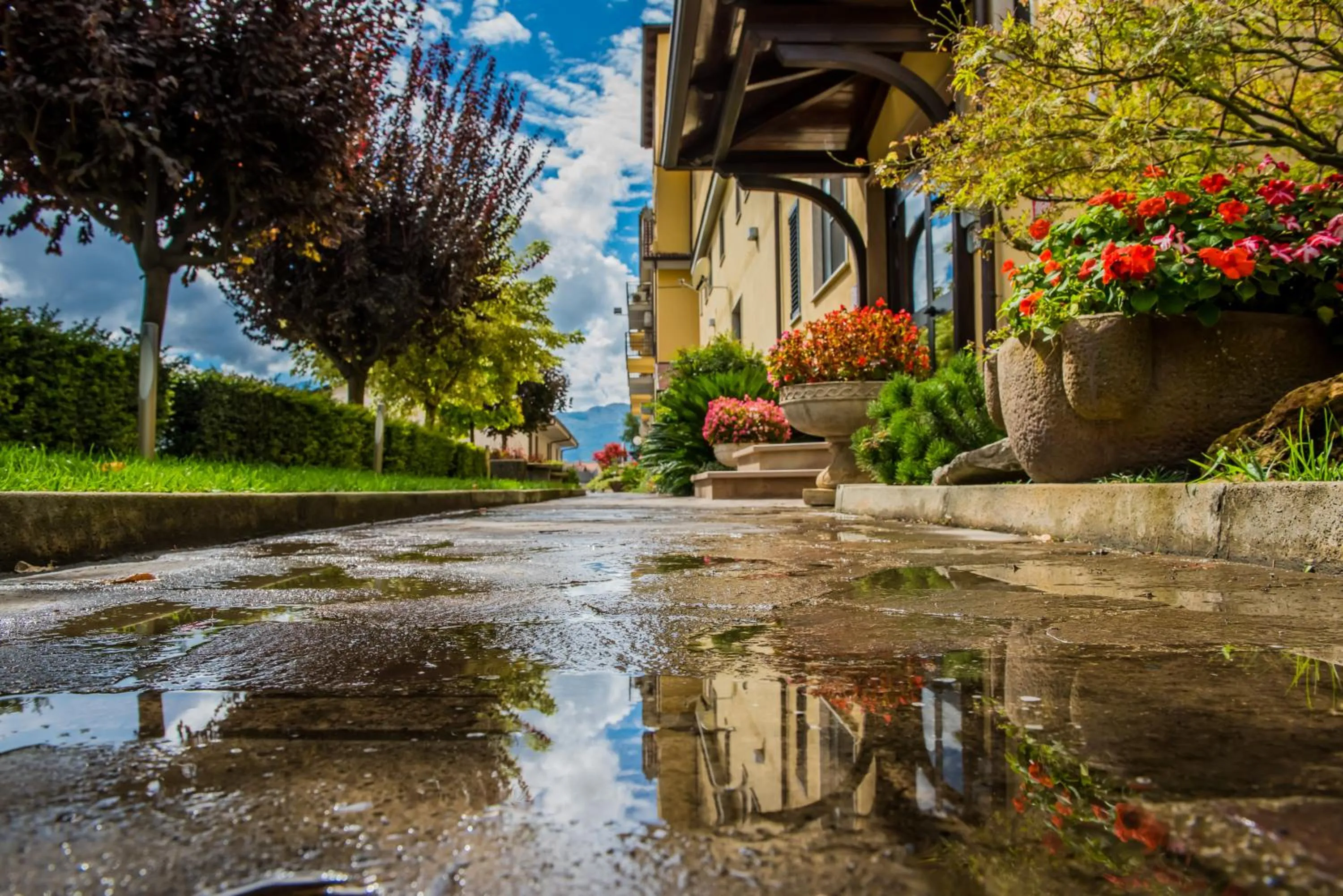 Facade/entrance in Magic Hotel