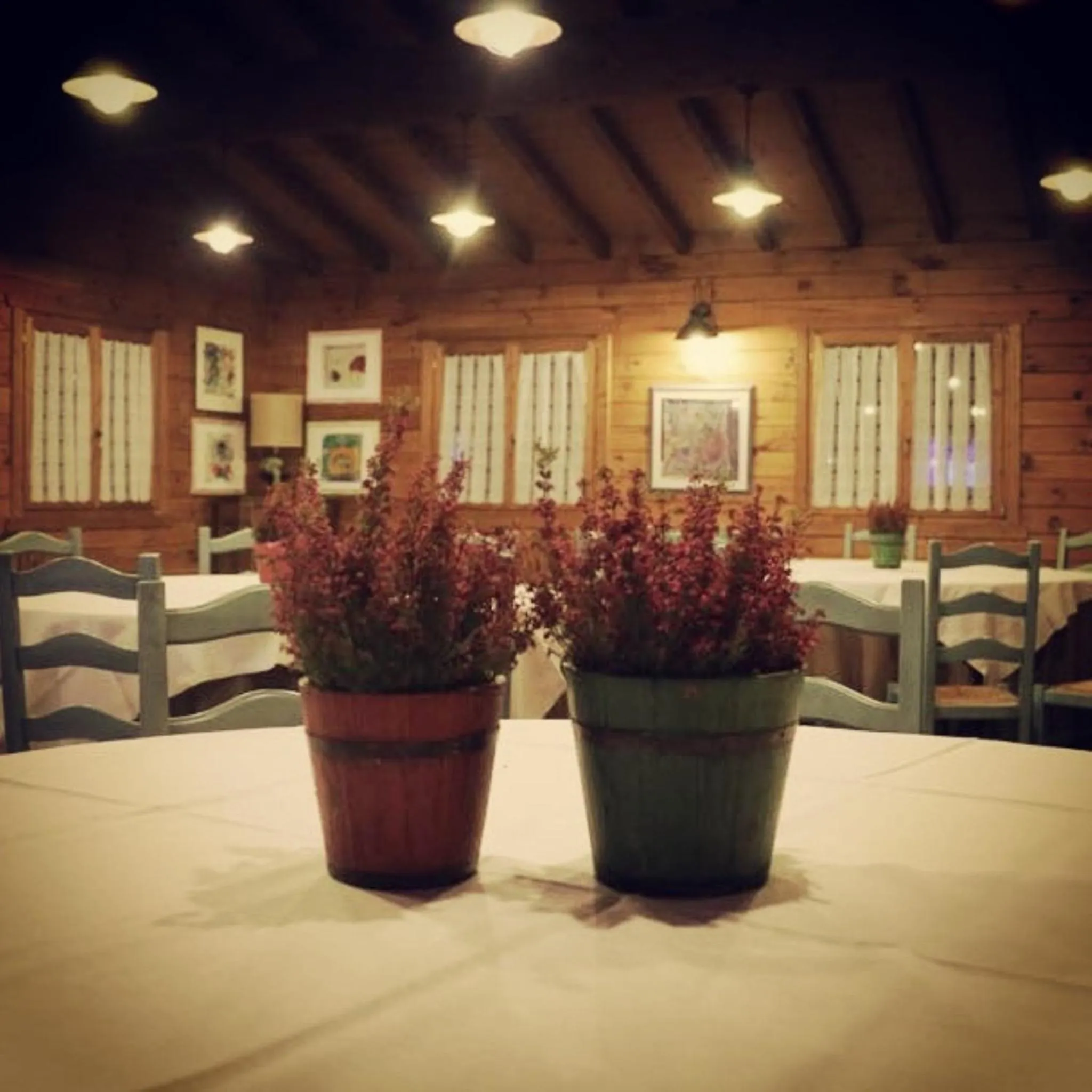 Restaurant/places to eat in Osteria Della Posta