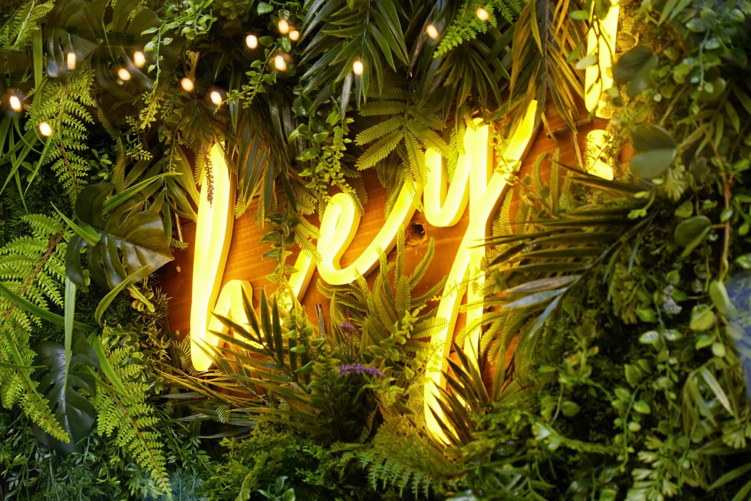 Balcony/Terrace in mizuka Daimyo 6 - unmanned hotel -