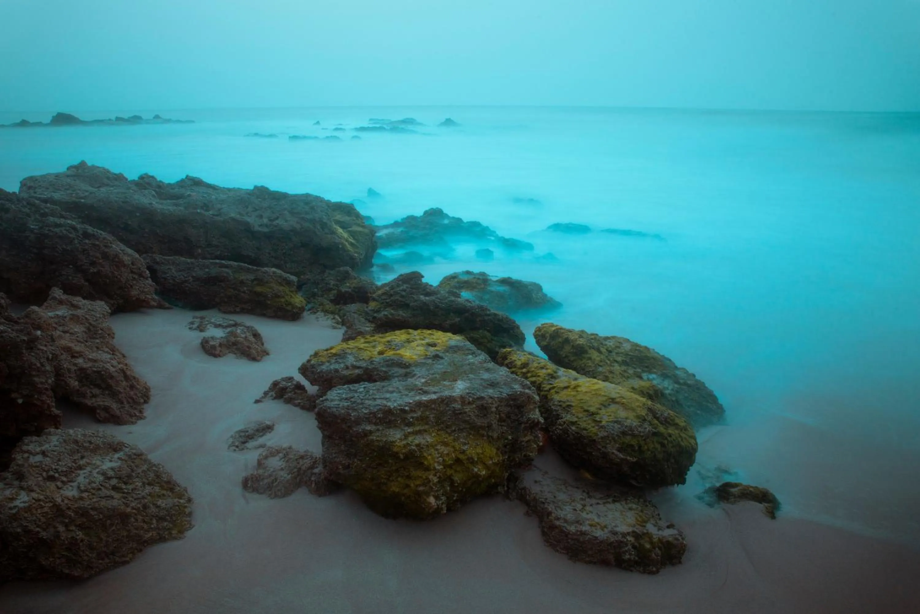 Sea view in La Crique Nature & Spa