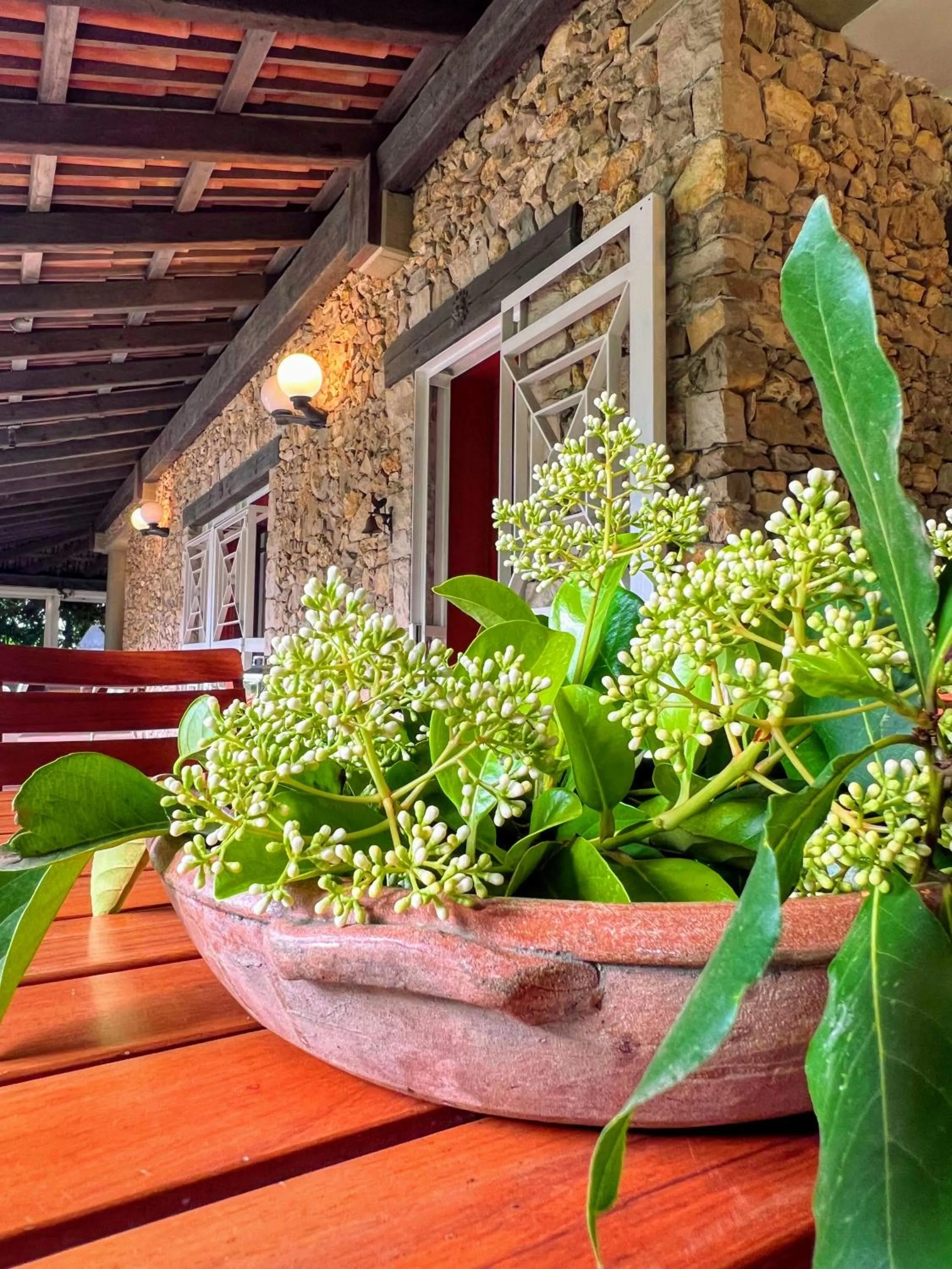 All'Ombra del Palmeto