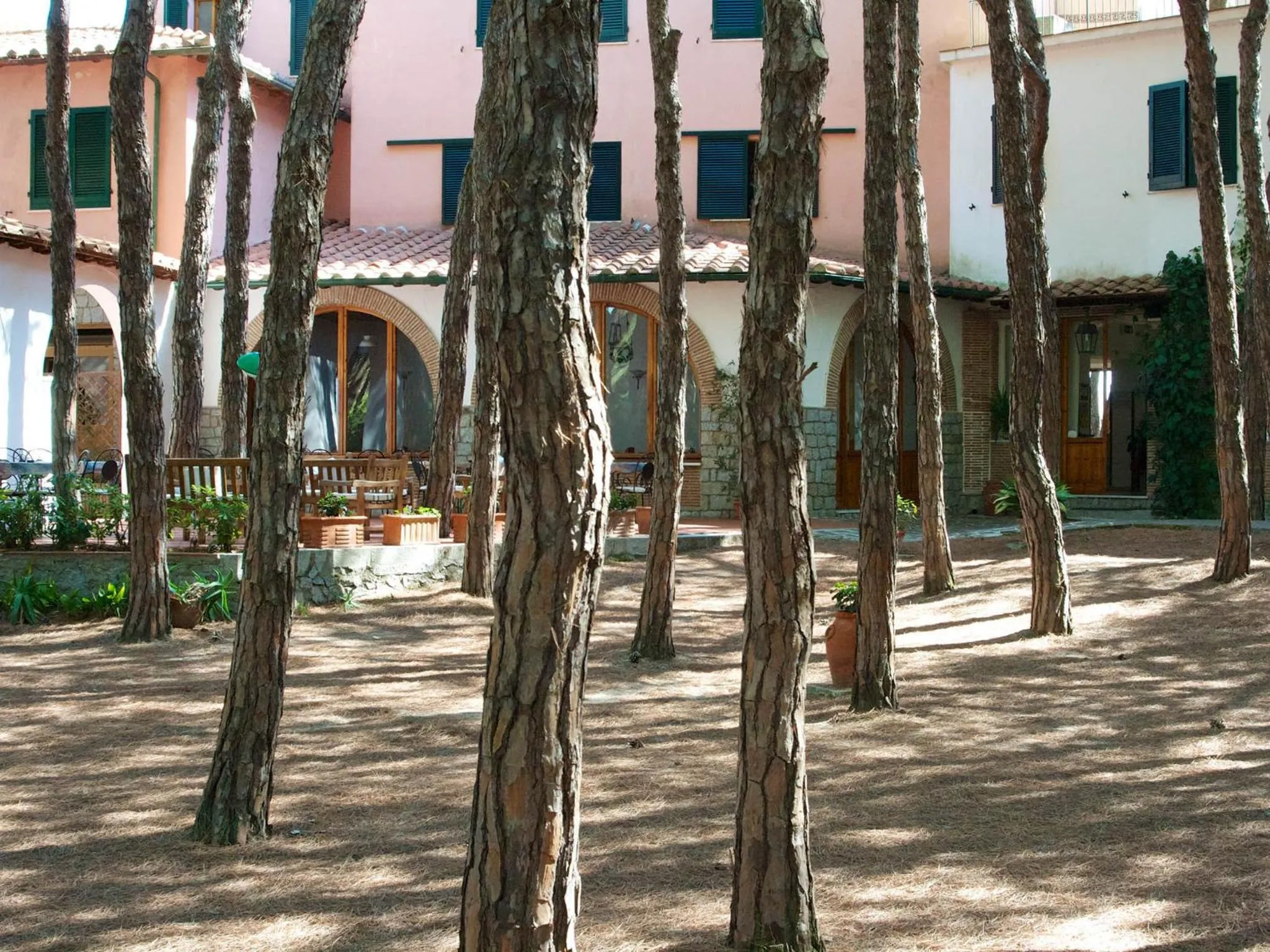Garden in Hotel Villa Nettuno