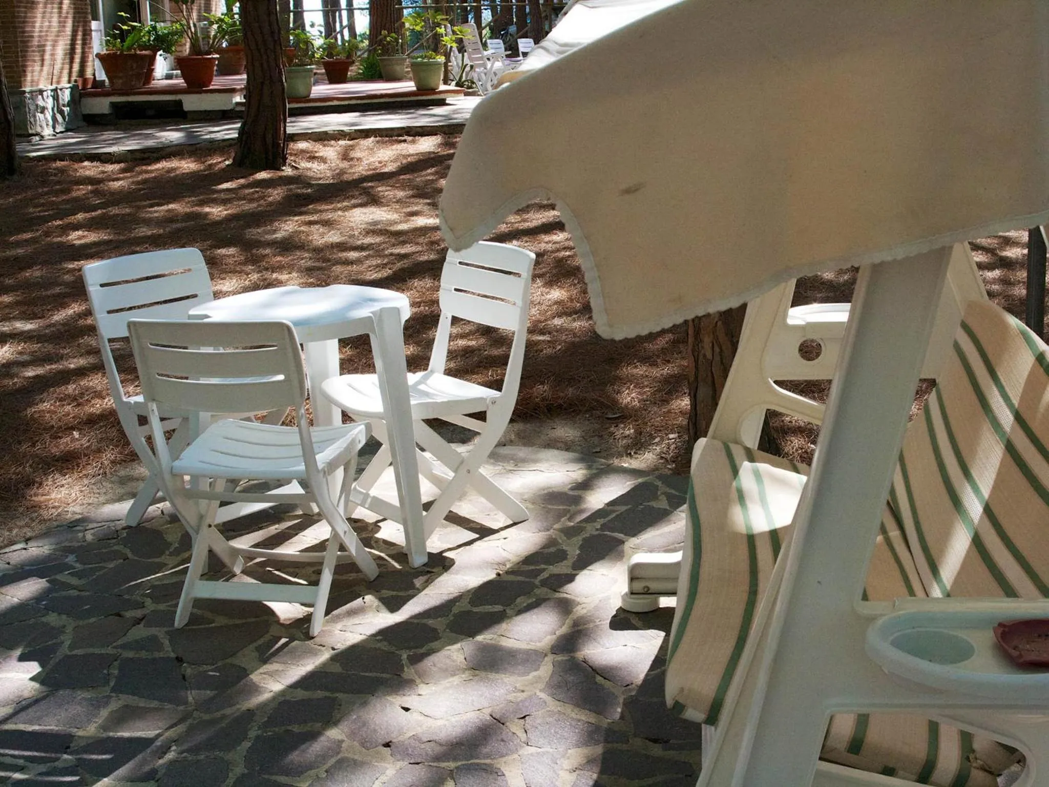 Balcony/Terrace in Hotel Villa Nettuno