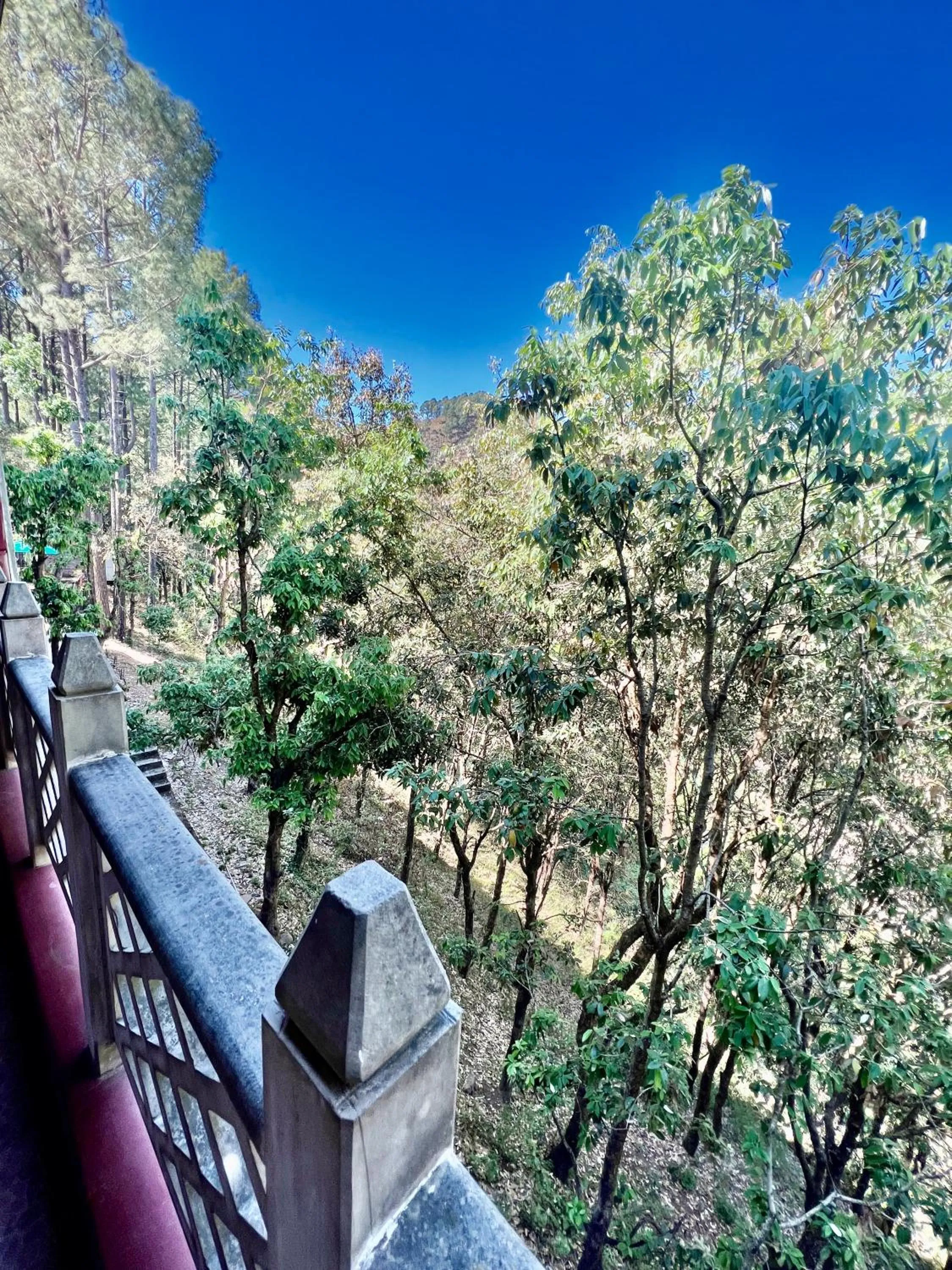 Balcony/Terrace in Sea Hawk - Luxury Hill Resort 4 mins from Bhimtal Lake