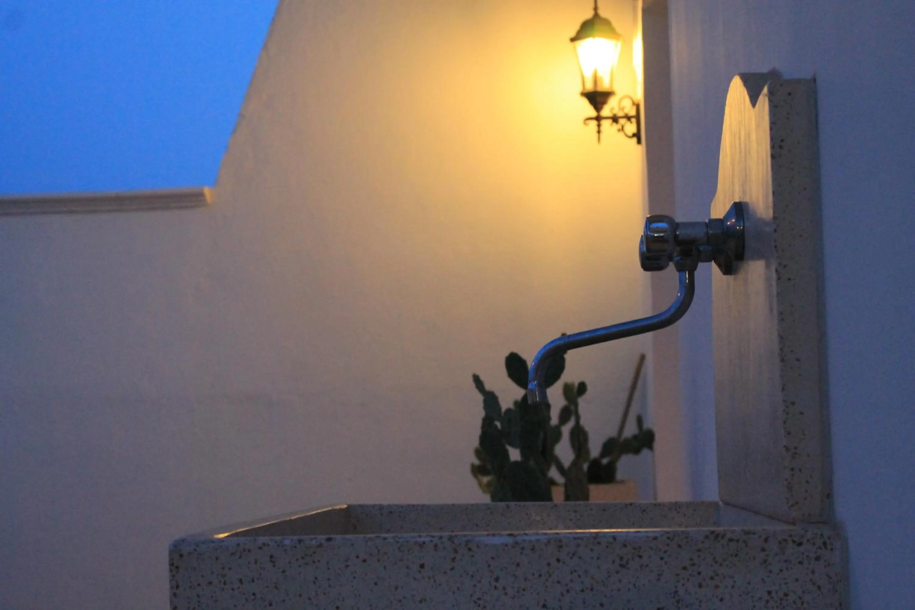 Garden in Salenthouse