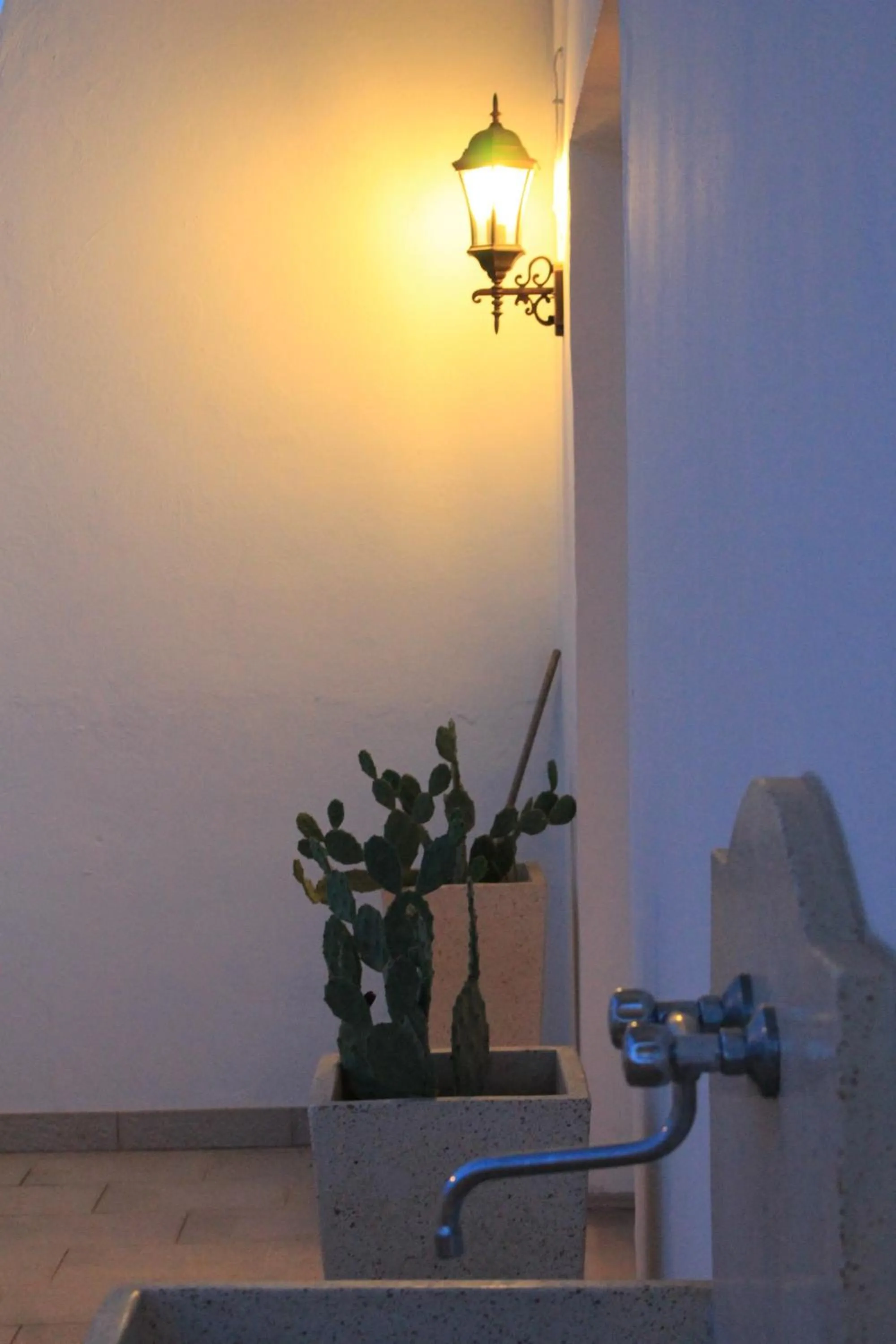 Garden in Salenthouse