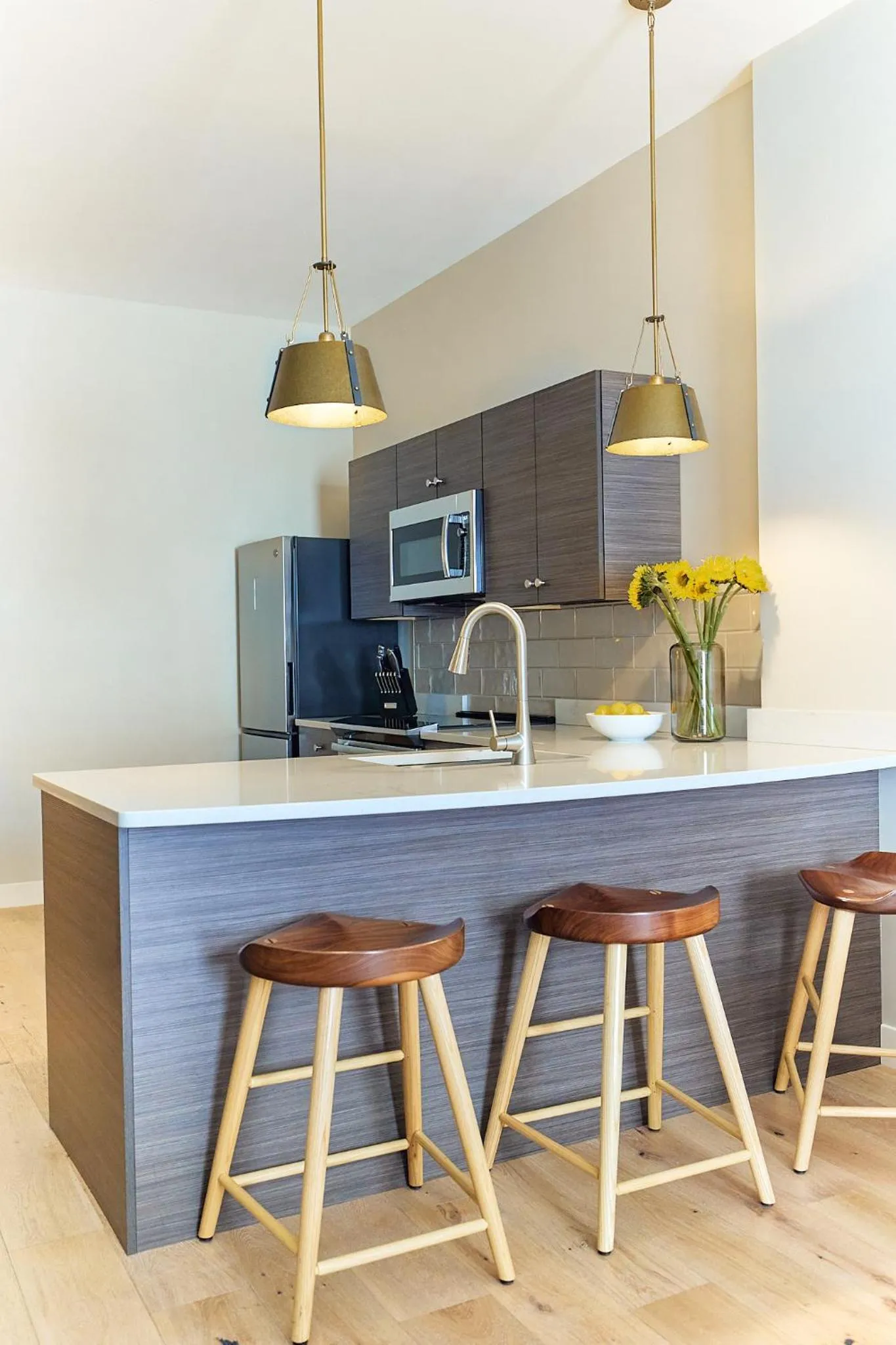 The Docent's Collection