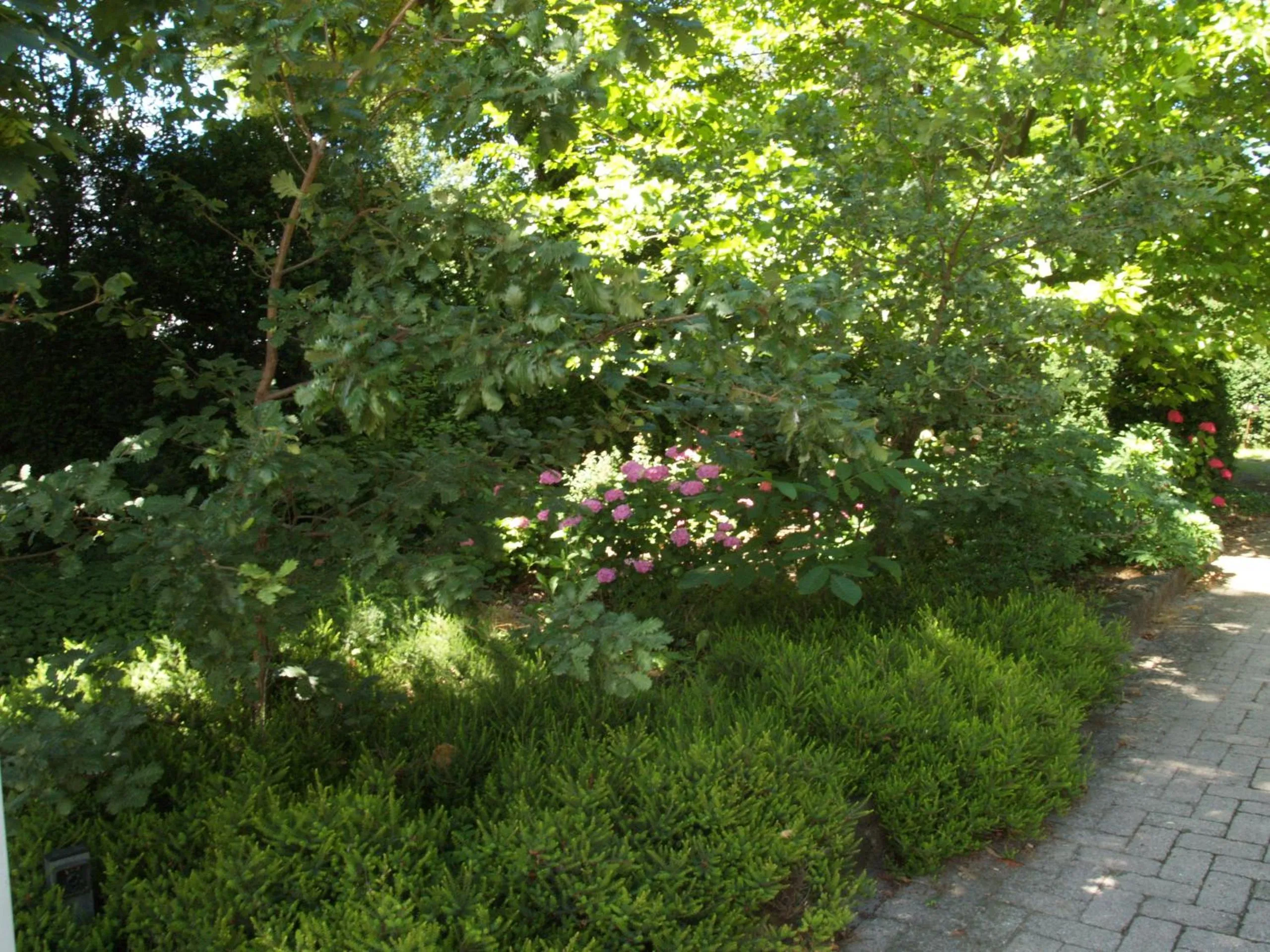 Garden in Villa Ghia Appartamento